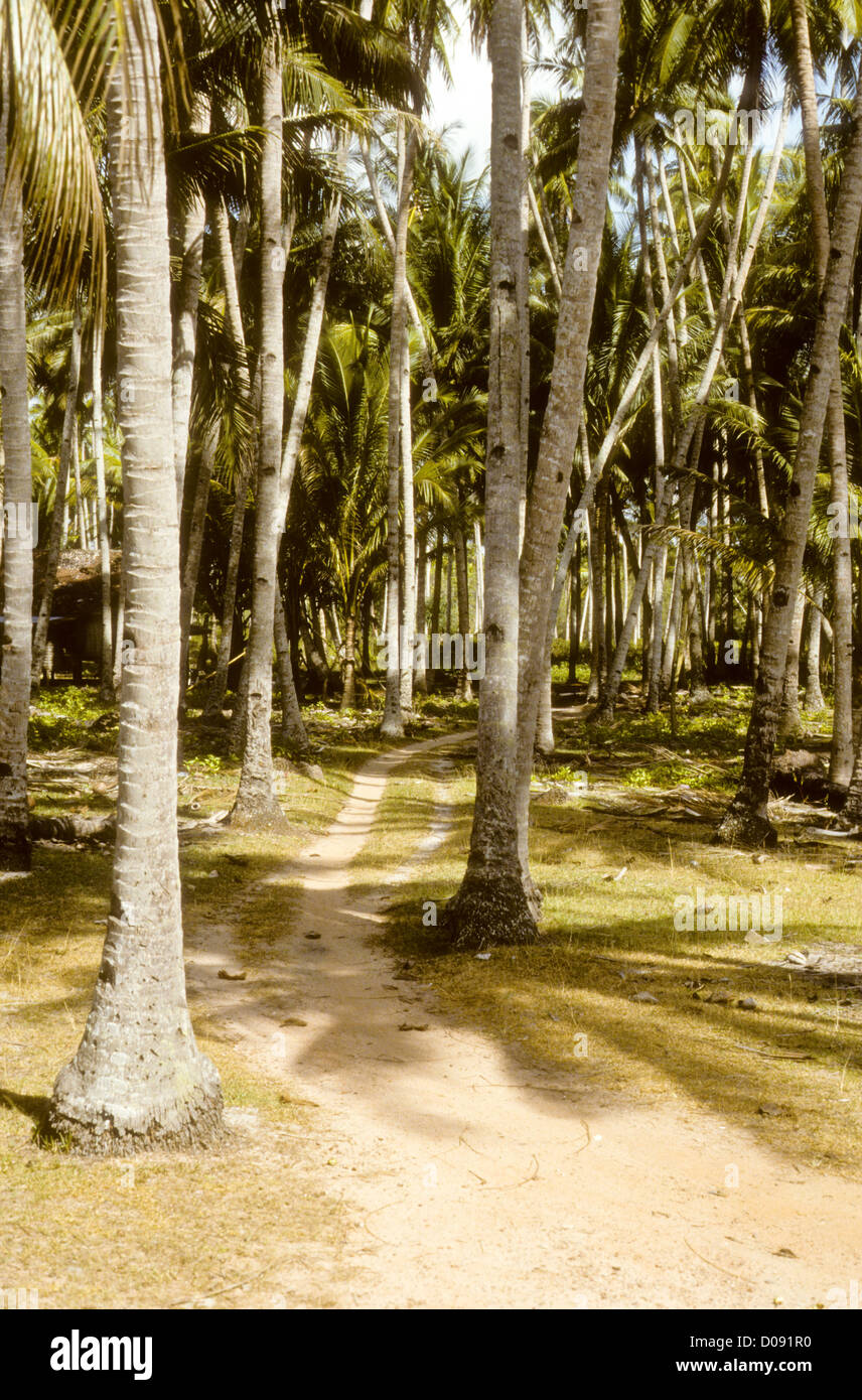 Barche da pesca,Pesce vegetale,mercati,spiagge,Tramonti,le piantagioni di cocco, giungla,Mosque,Kuala Terengganu,Costa Est della Malaysia Foto Stock