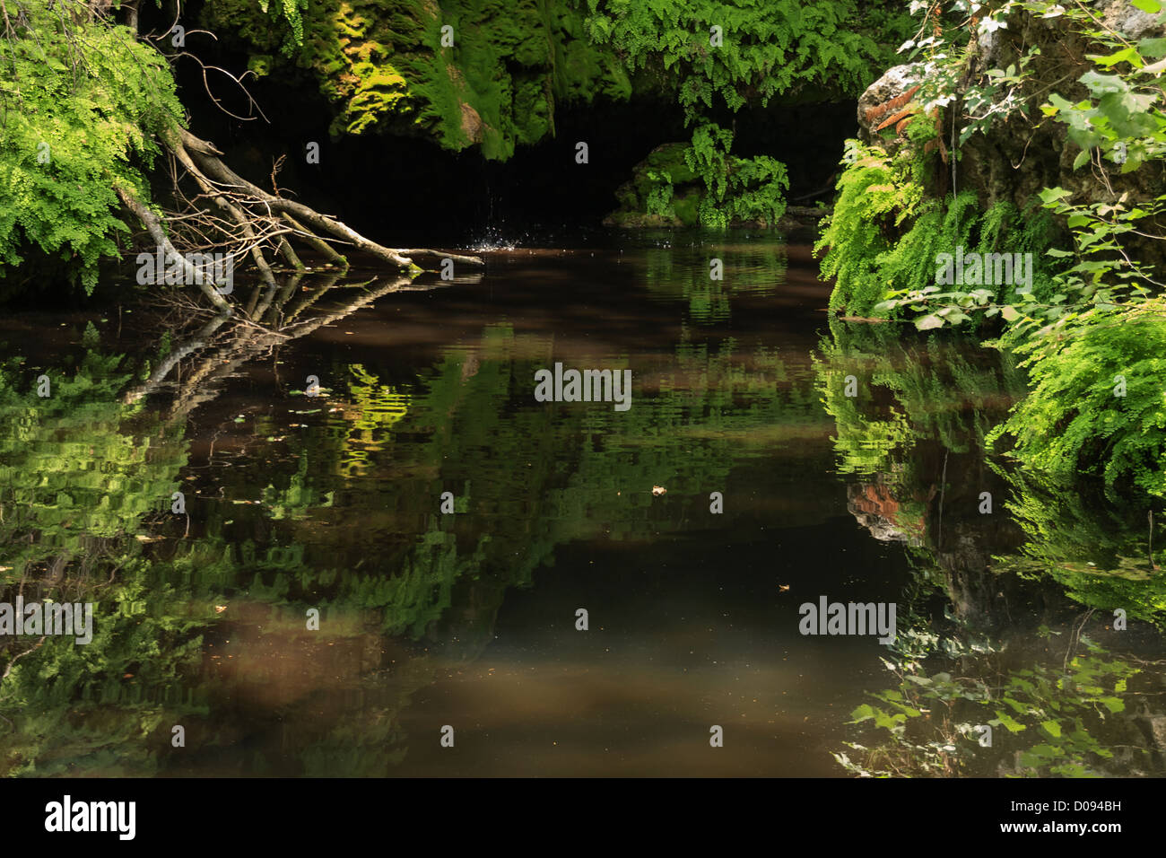 Un lago nella giungla con riflessioni Foto Stock