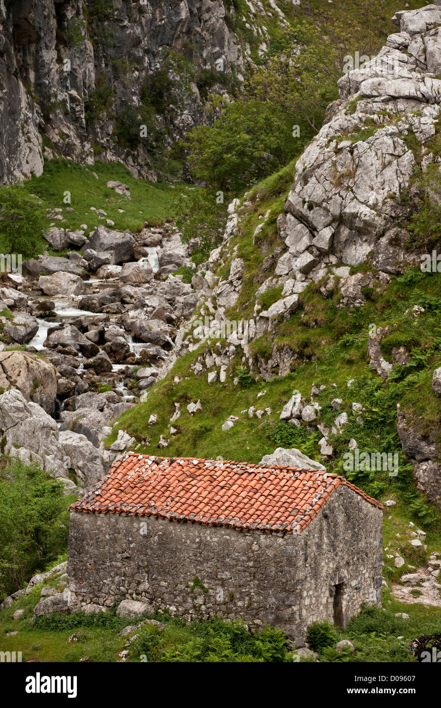 Il vecchio fienile nel Rio Cares Limestone Gorge, Picos de Europa, Spagna, Europa Foto Stock