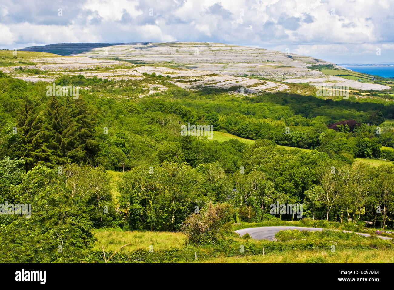 L'Irlanda paesaggio Foto Stock