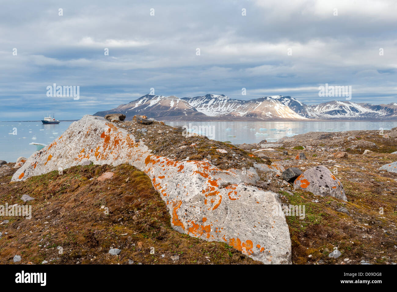 Kongsfjorden, Spitsbergen West Coast, arcipelago delle Svalbard, Norvegia Foto Stock