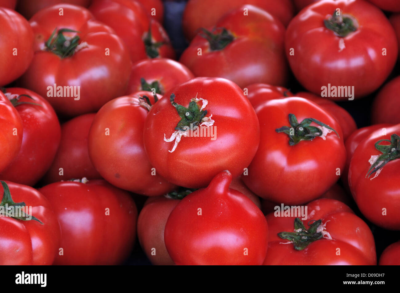 Mature pomodori rossi per la vendita in un negozio di alimentari. Sfondo di verdure. Foto Stock