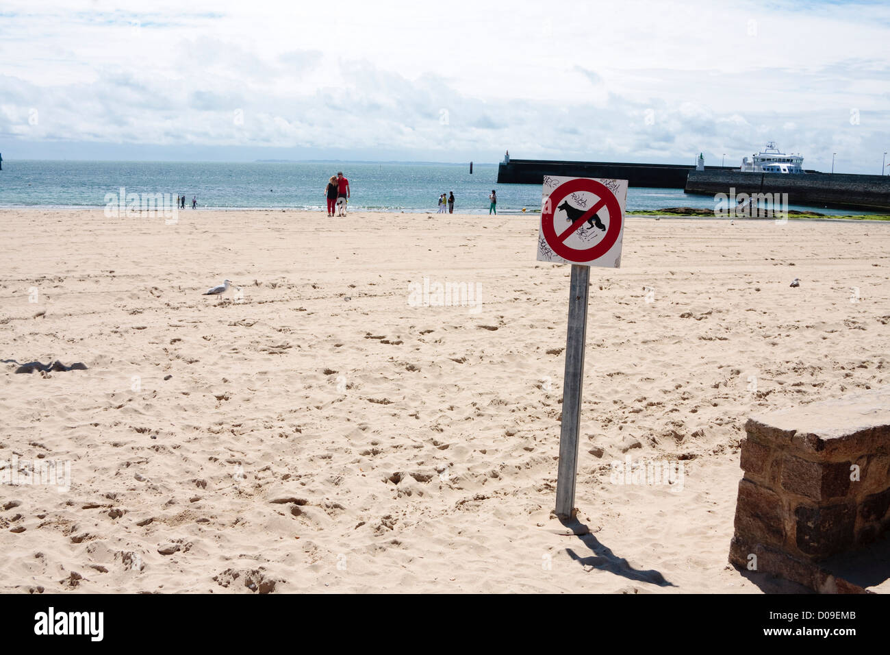 Un 'no cani sulla spiaggia' segno, La Grande Plage de Quiberon, Bretagna Francia Foto Stock