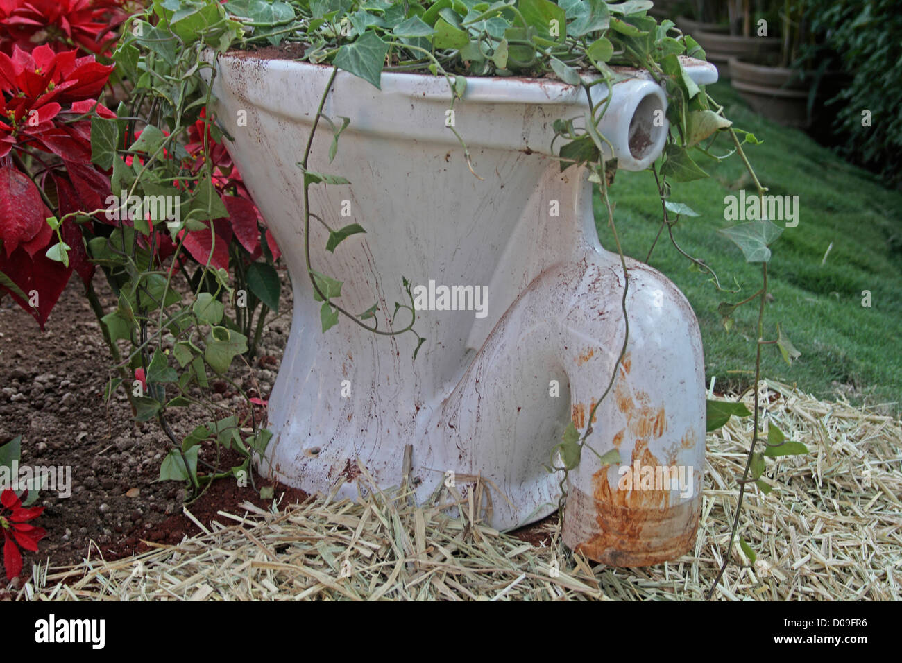 Stabilimento di commode Foto Stock