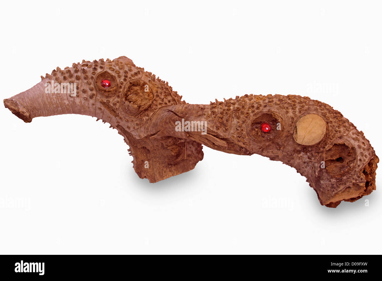 Scultura in legno animali del mare Foto Stock