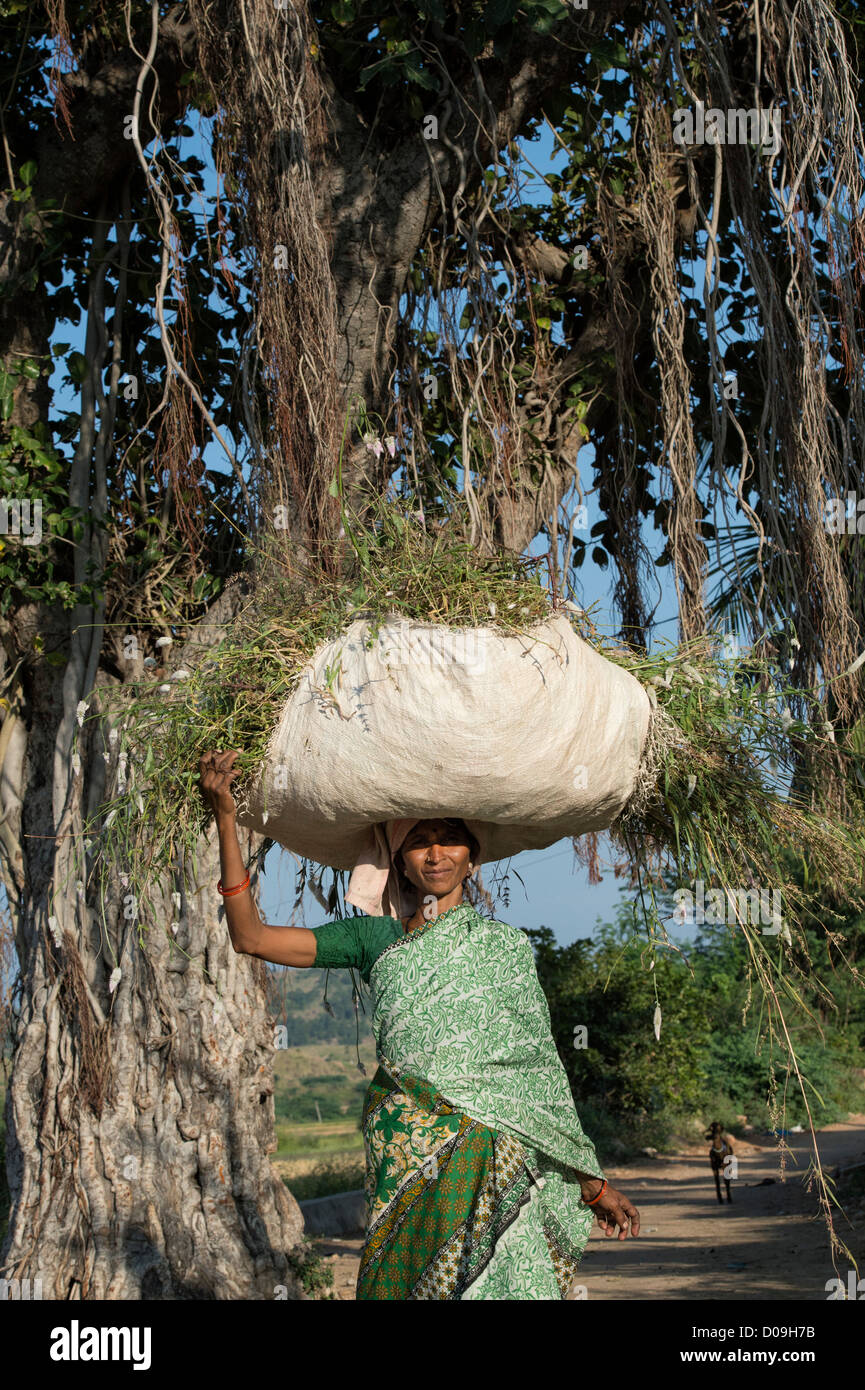 Rurale villaggio indiano donna che porta un sacco di erba tagliata sul suo capo. Andhra Pradesh, India Foto Stock