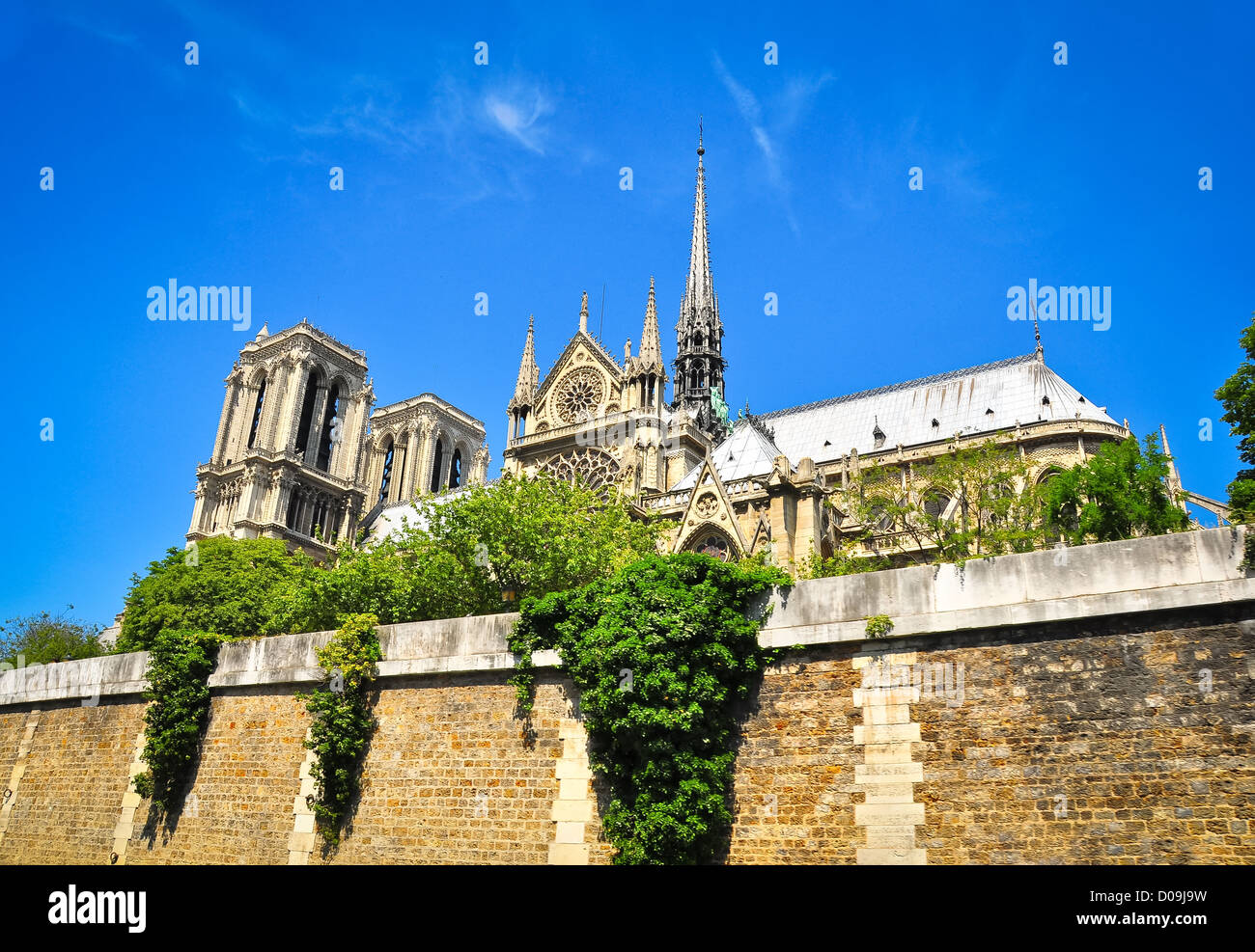 Notre Damme cathdral in vista di Parigi dal fiume Foto Stock