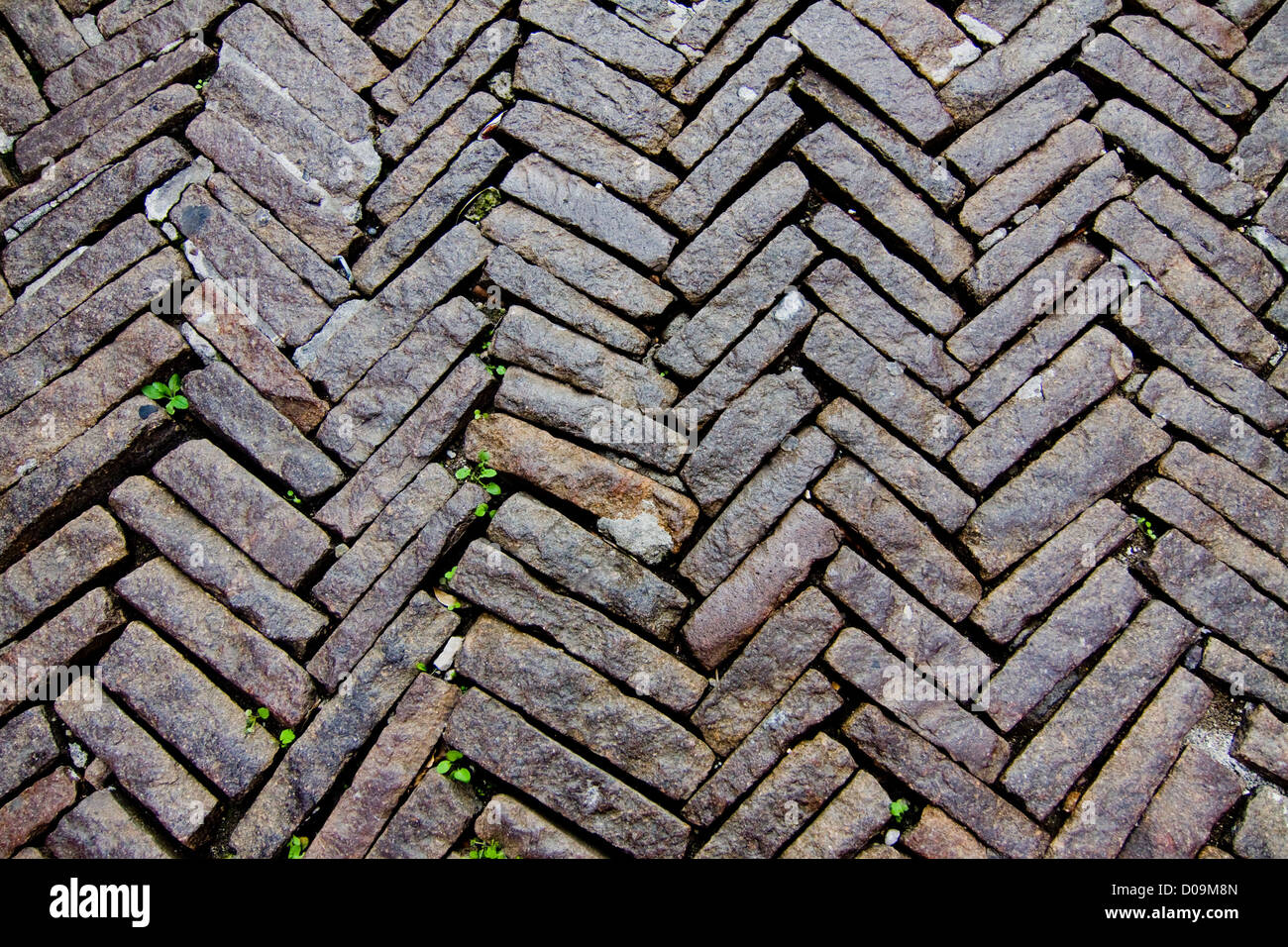 Texture da Bergamo Foto Stock