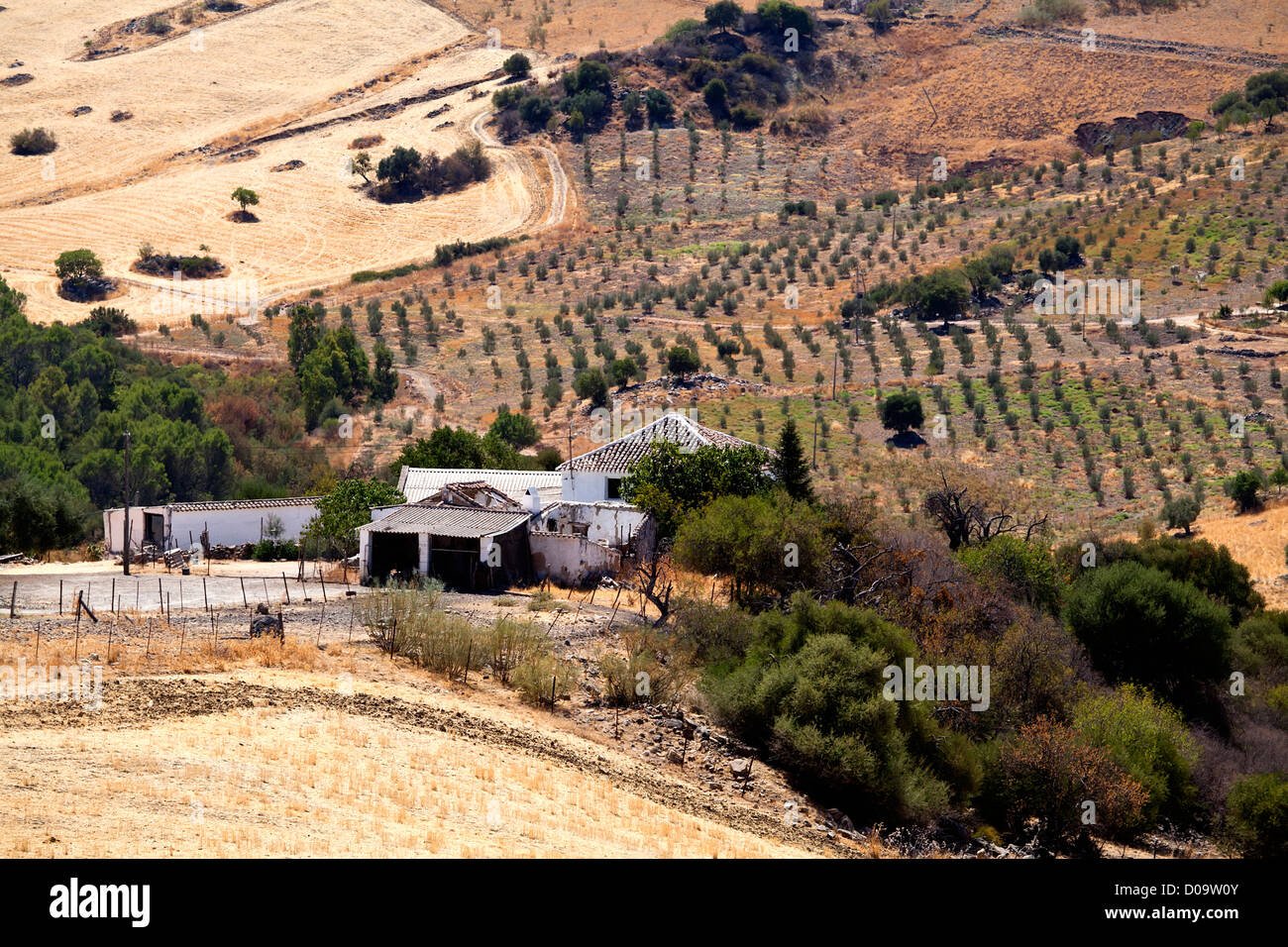 Accogliente villa spagnola tra alberi di olivo Foto Stock