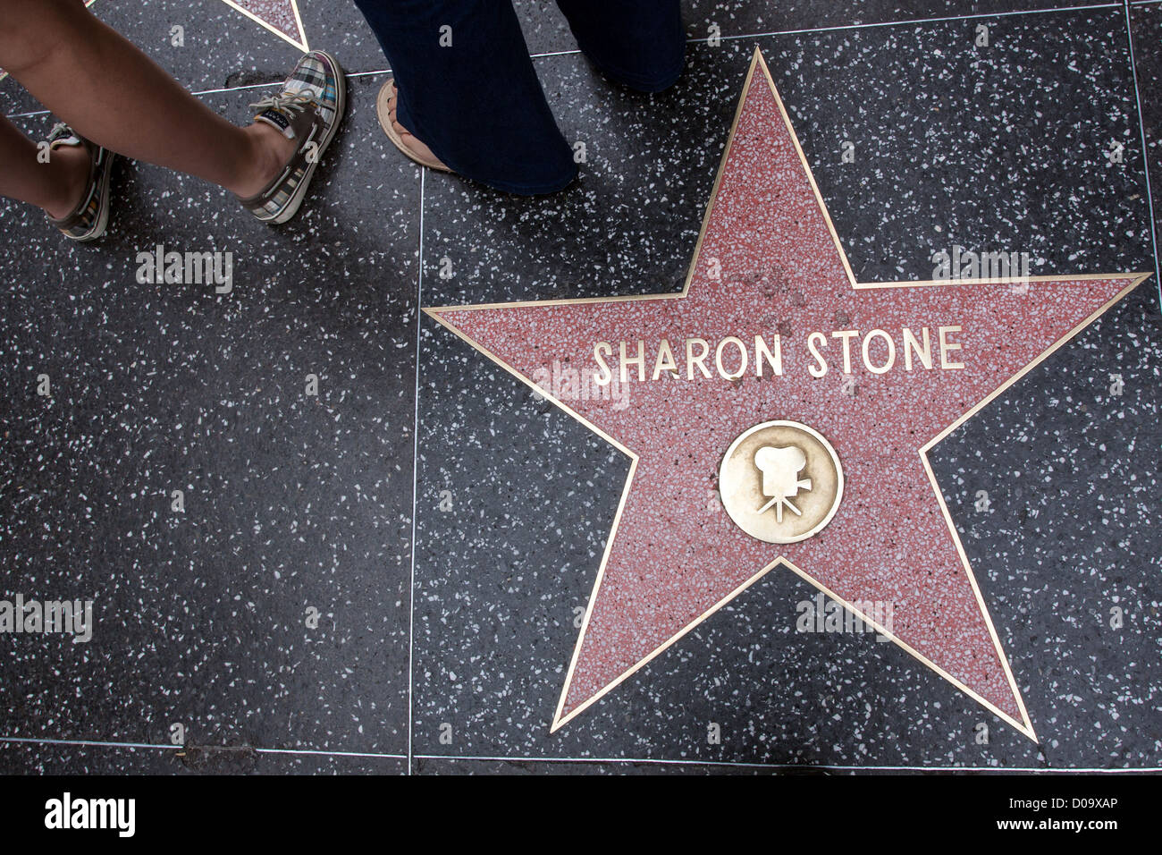 SHARON STONE STELLA SULLA WALK OF FAME IN HOLLYWOOD Los Angeles California USA STATI UNITI Foto Stock