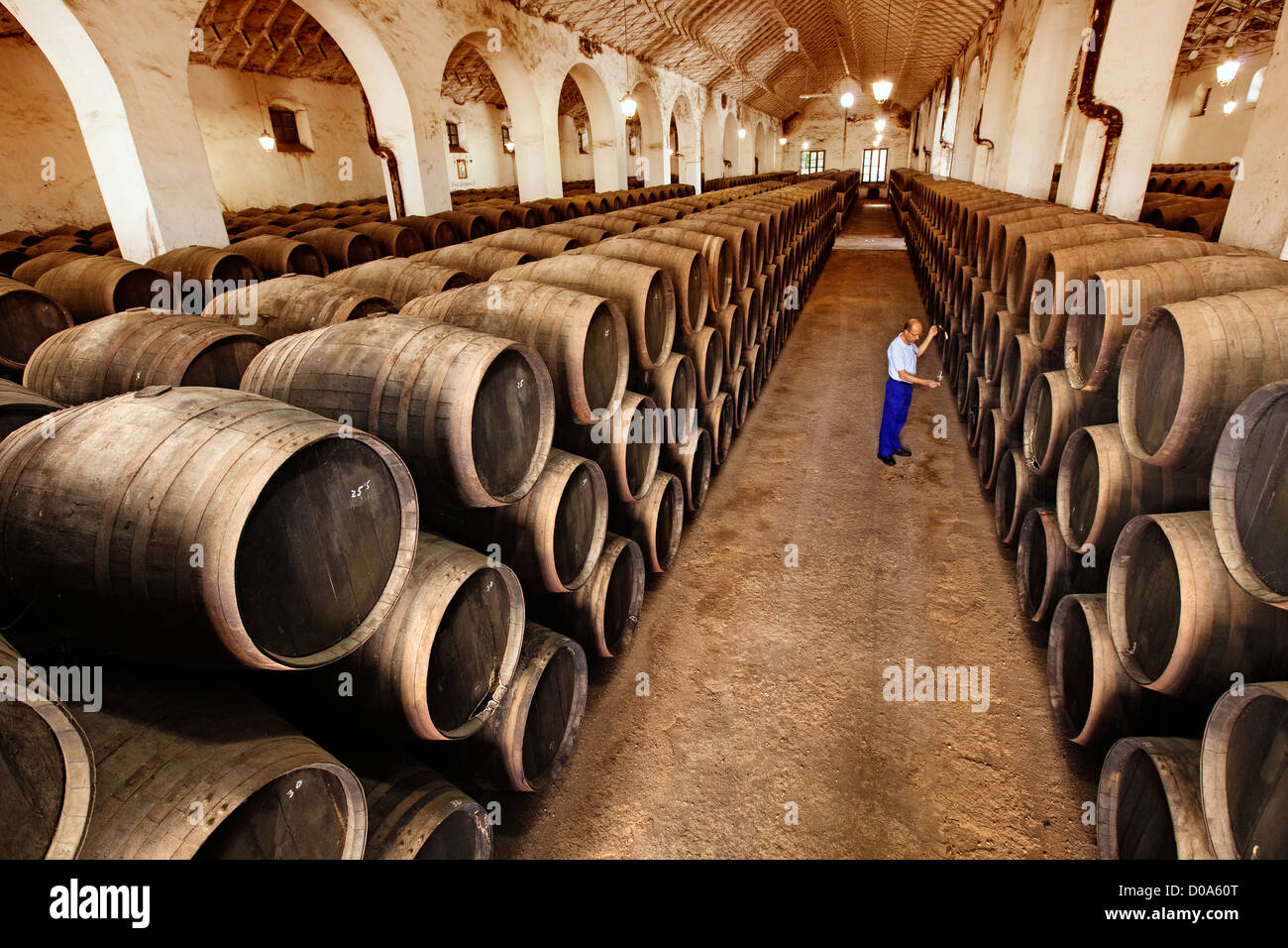 Aziende vinicole Pérez Barquero Montilla Cordoba Andalusia Spagna Bodegas Pérez Barquero Montilla Córdoba Andalucía España Foto Stock