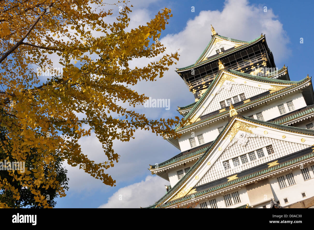 Il Castello di Osaka in Giappone occidentale. Foto Stock