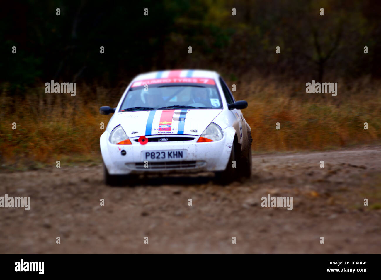 Malton Forest Rally, novembre 2012. Stadio Cropton Foto Stock