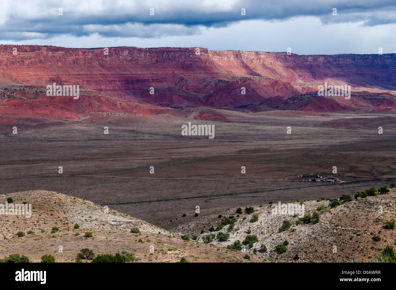 Vermiglio scogliere da US 89A, Arizona Strip, Arizona. Foto Stock