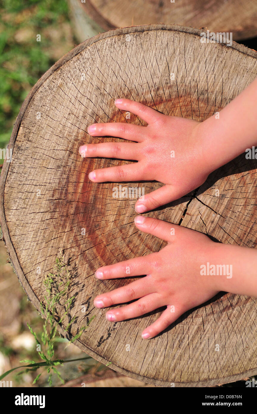 Un bambino le mani sul tronco di albero giardini VALLOIRES abbazia costruita nel XVII XVIII secoli ARGOULES SOMME (80) FRANCIA Foto Stock