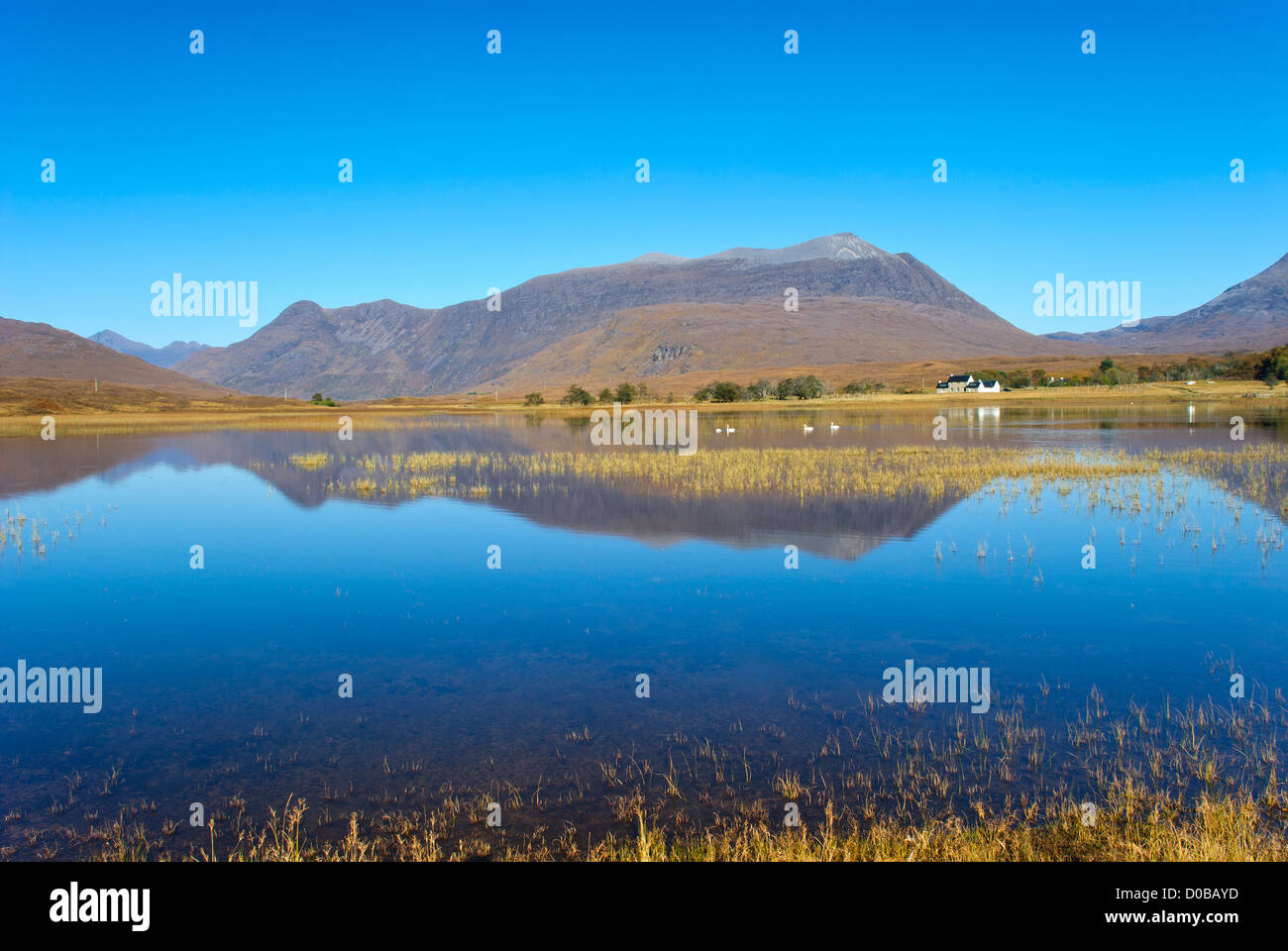 Loch Coultrie e Beinn Damh, Wester Ross, Scotland, Regno Unito Foto Stock