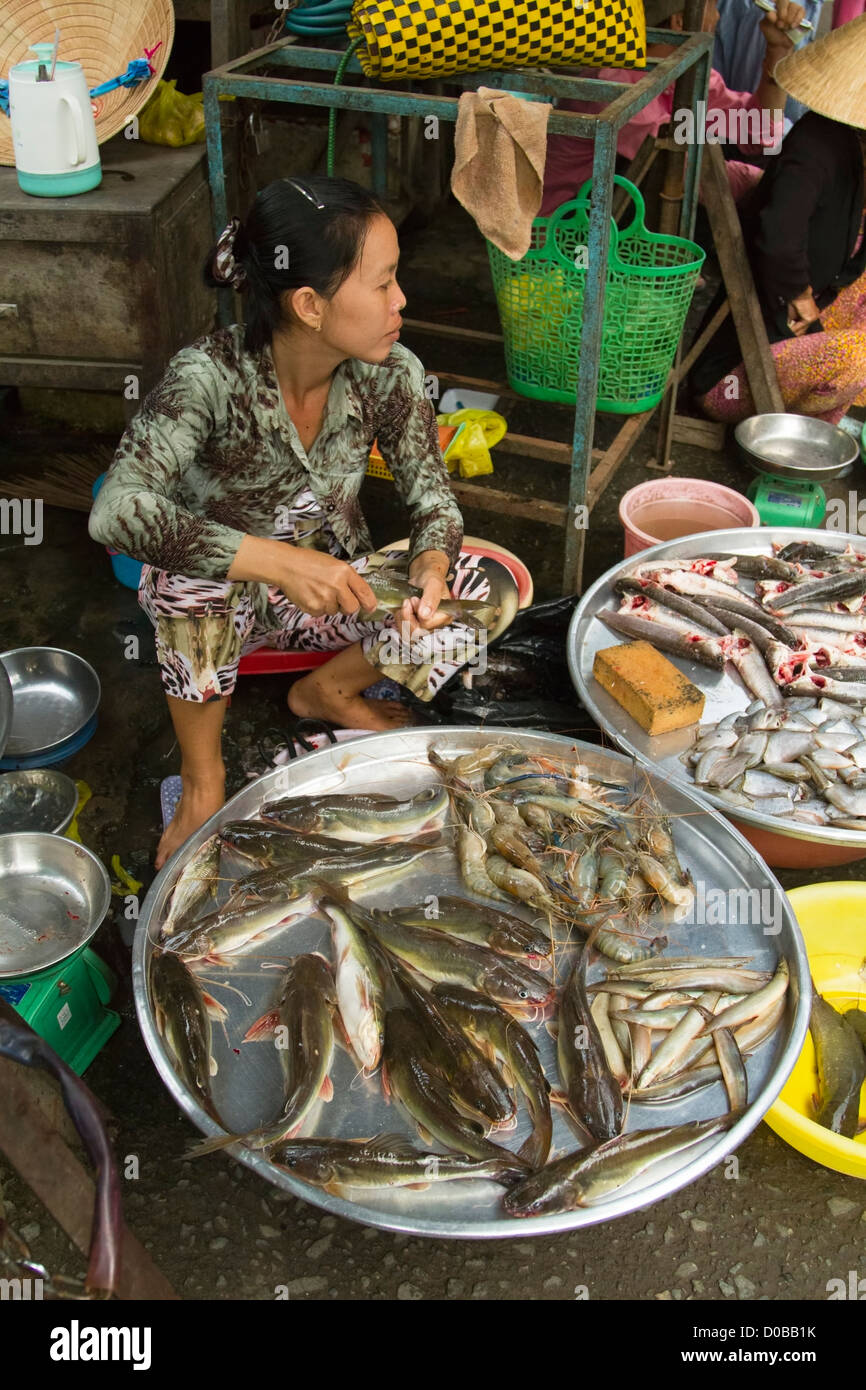 Donna vietnamita di vendita del pesce in un mercato nel Delta del Mekong. Foto Stock