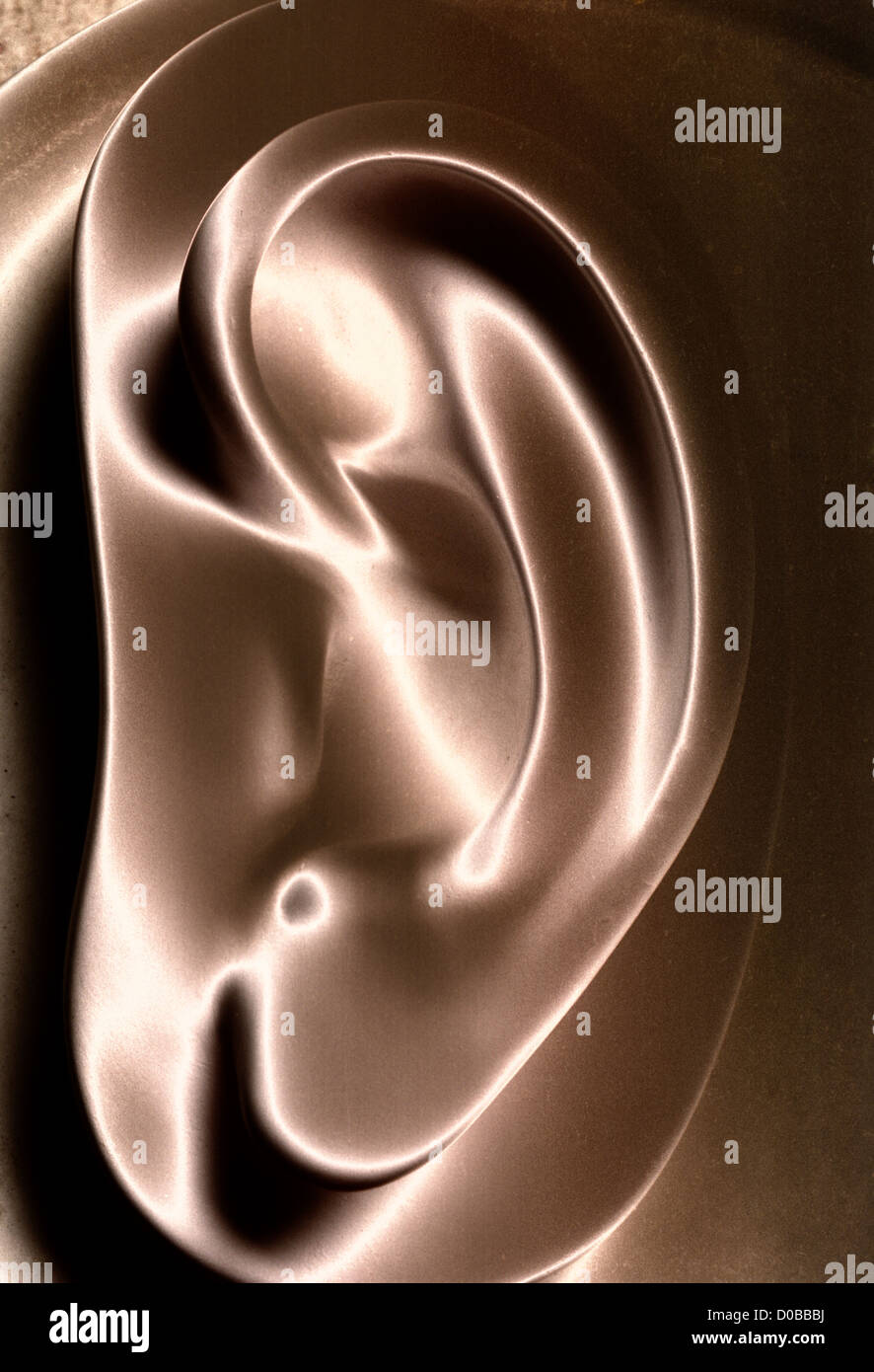 Calco in gesso del orecchio in astratto immagine solarized Foto Stock