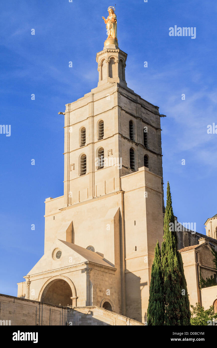 Avignon - Notre Dame des Domes chiesa vicino Palazzo Papale, Provenza, Francia Foto Stock Avignon - Notre Dame des Domes chiesa vicino Palazzo Papale, Provenza, Francia Foto Stock