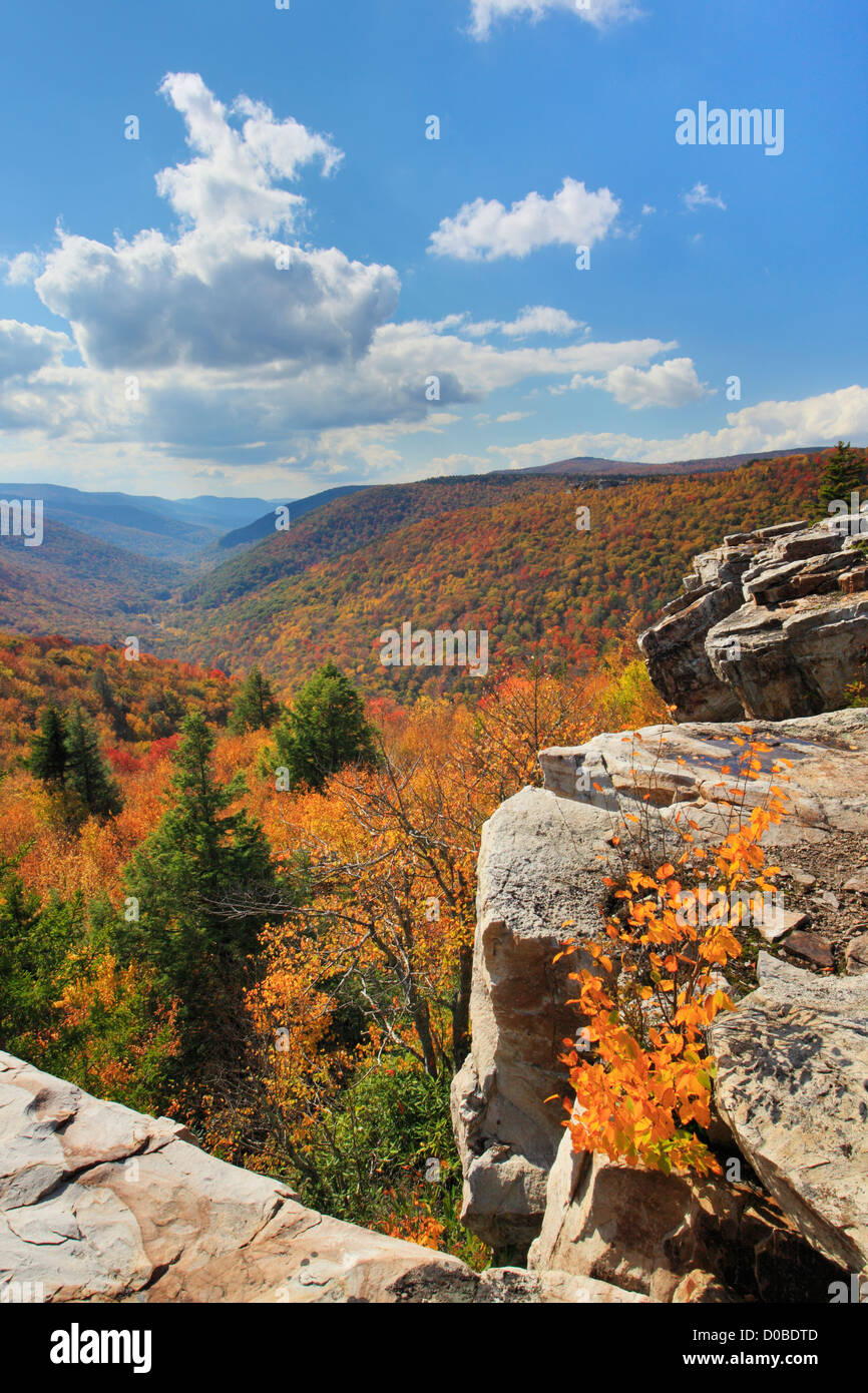 Vista di Red Creek Canyon dal sentiero Rohrbaugh, Dolly zolle deserto Hopeville, West Virginia, USA Foto Stock