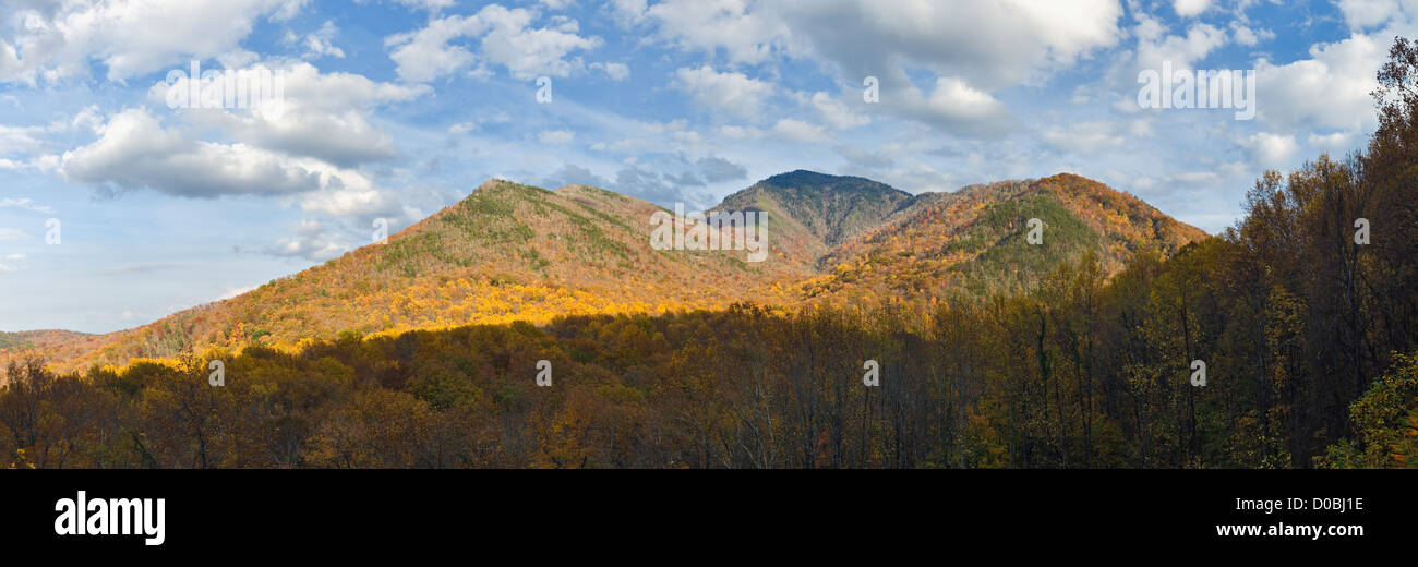 Panorama di Colore di autunno sul Monte LaConte nel Parco Nazionale di Great Smoky Mountains in Sevier County, Tennessee Foto Stock