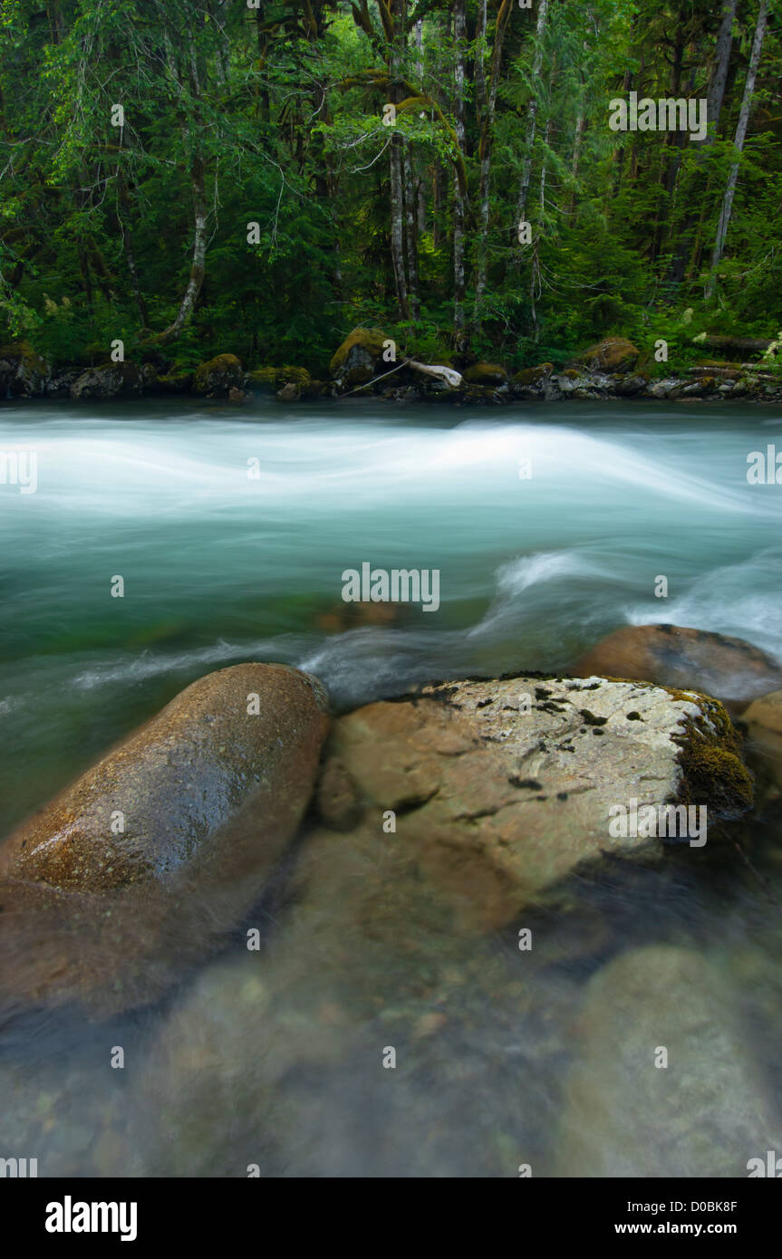 Il fiume di Sauk, Mount Baker-Snoqualmie Foresta Nazionale, Washington, Stati Uniti d'America Foto Stock
