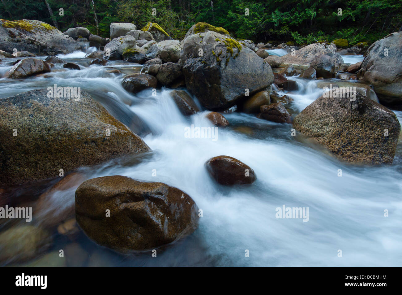 Fiume Foss, Mount Baker-Snoqualmie Foresta Nazionale, Washington, Stati Uniti d'America Foto Stock