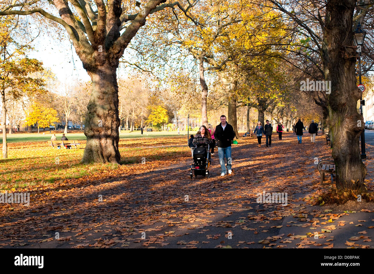 I campi di Highbury, Islington, London, Regno Unito Foto Stock