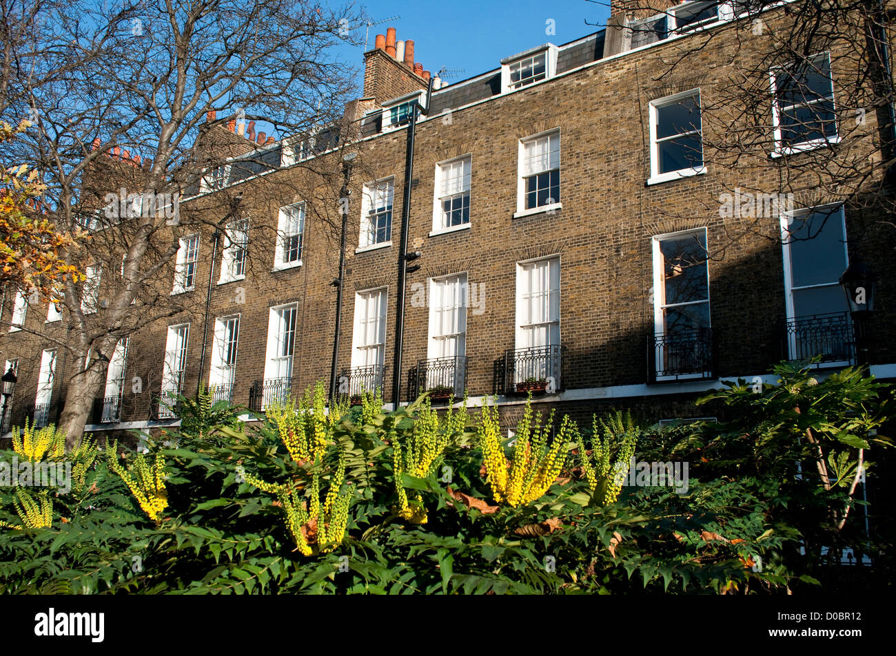 Compton terrazza, Upper Street, London, N1, Regno Unito Foto Stock