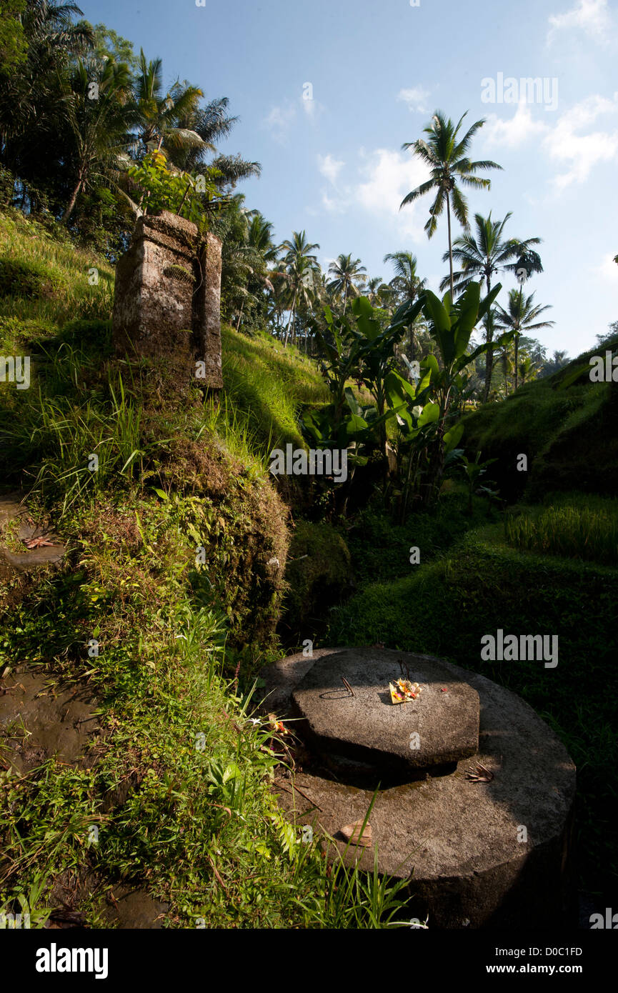 Ovunque a Bali si possono notare queste offerte che stabilisce al piano ,come il tempo passa da . Foto Stock