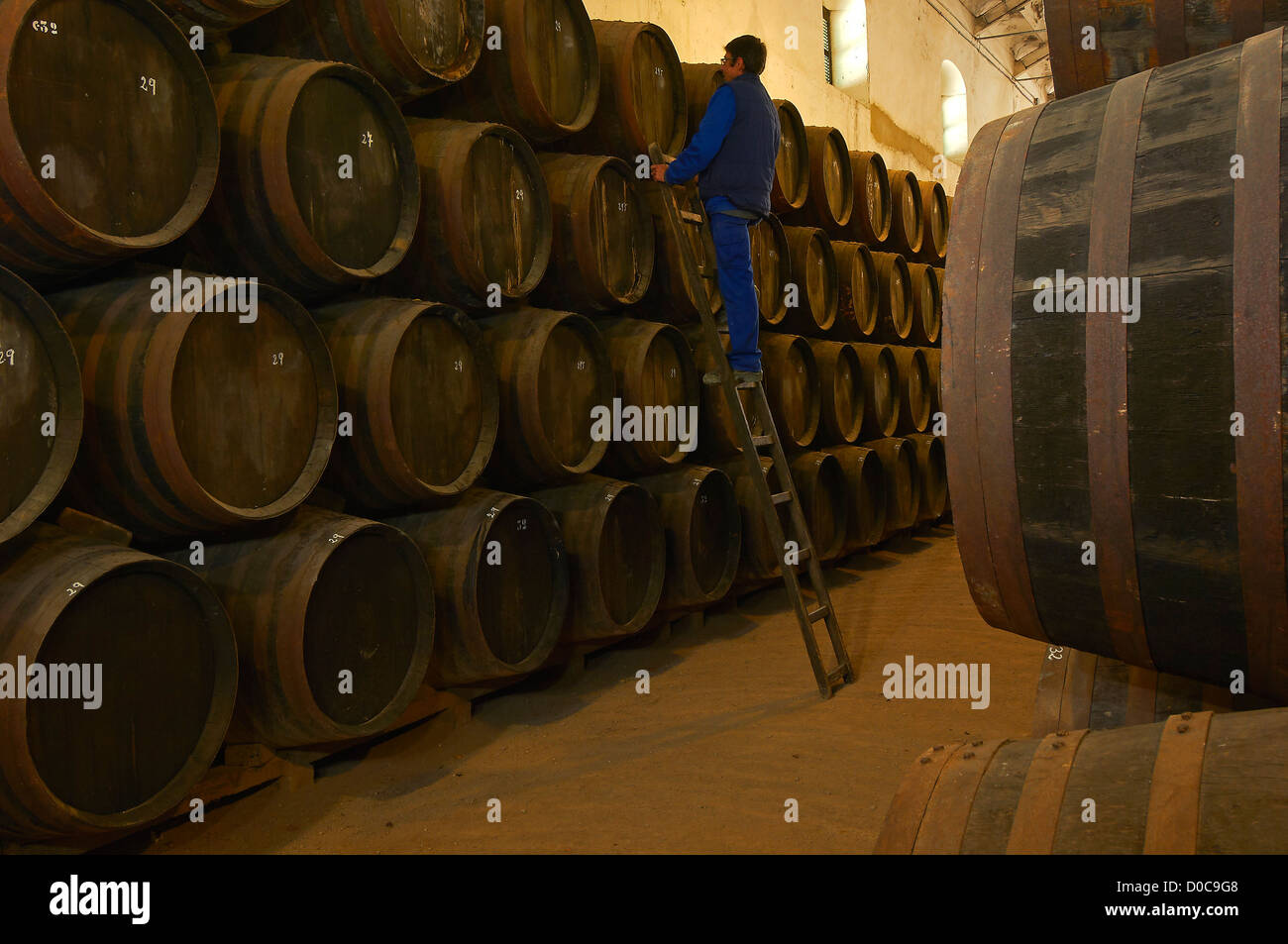 Montilla, Perez Barquero Cantina, Montilla-Moriles percorso vinicolo, Cordoba, Andalusia, Spagna Foto Stock