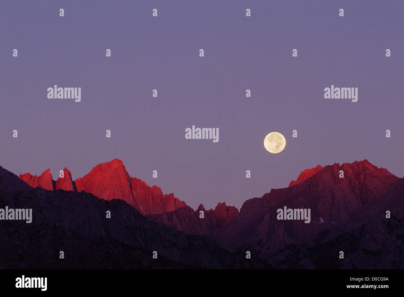 La luna piena si chiude sul Monte Russell all'alba Foto Stock