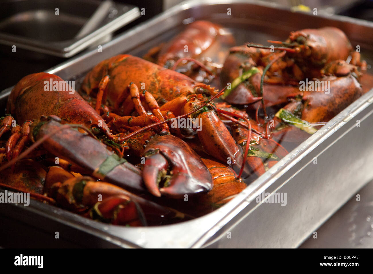 Le aragoste cotti nel brodo e cucina presso il ristorante ORIGINE 26 rampe CAUCHOISE ROUEN SEINE-MARITIME (76) FRANCIA Foto Stock