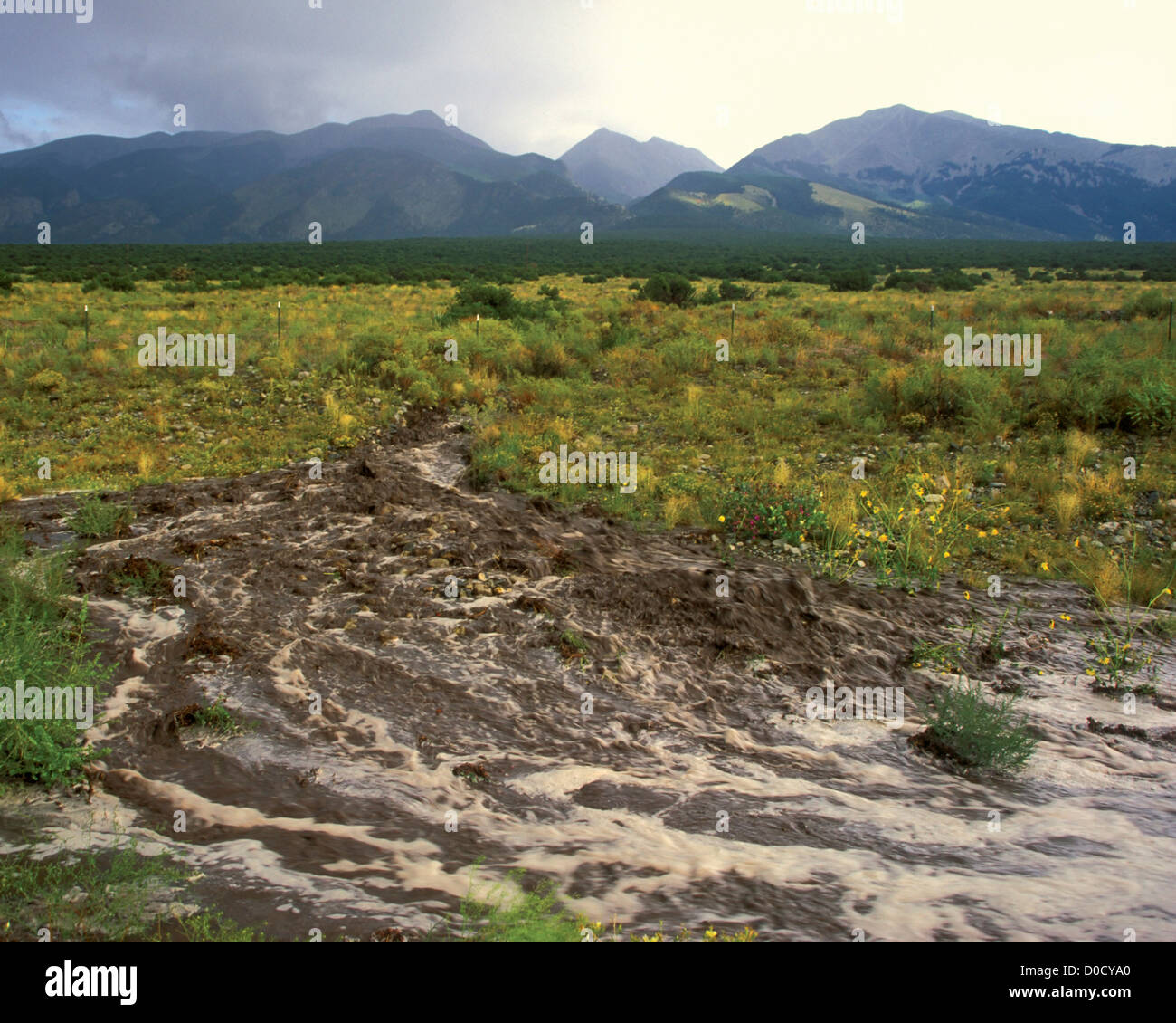 Flash Flood Foto Stock