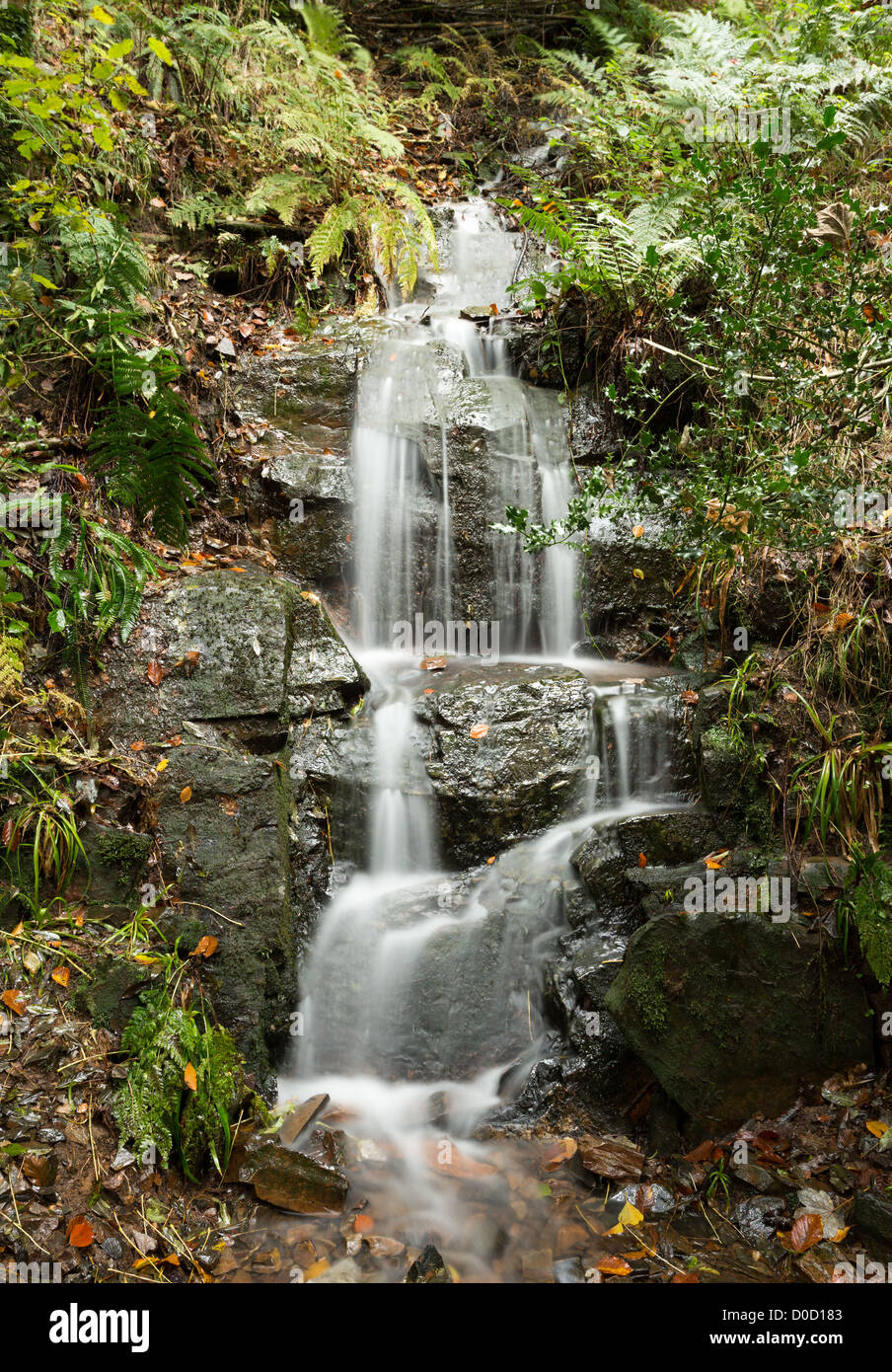Una piccola cascata in Hannicombe boschi vicino Ponte Fingle,Parco Nazionale di Dartmoor,Devon, Regno Unito Foto Stock
