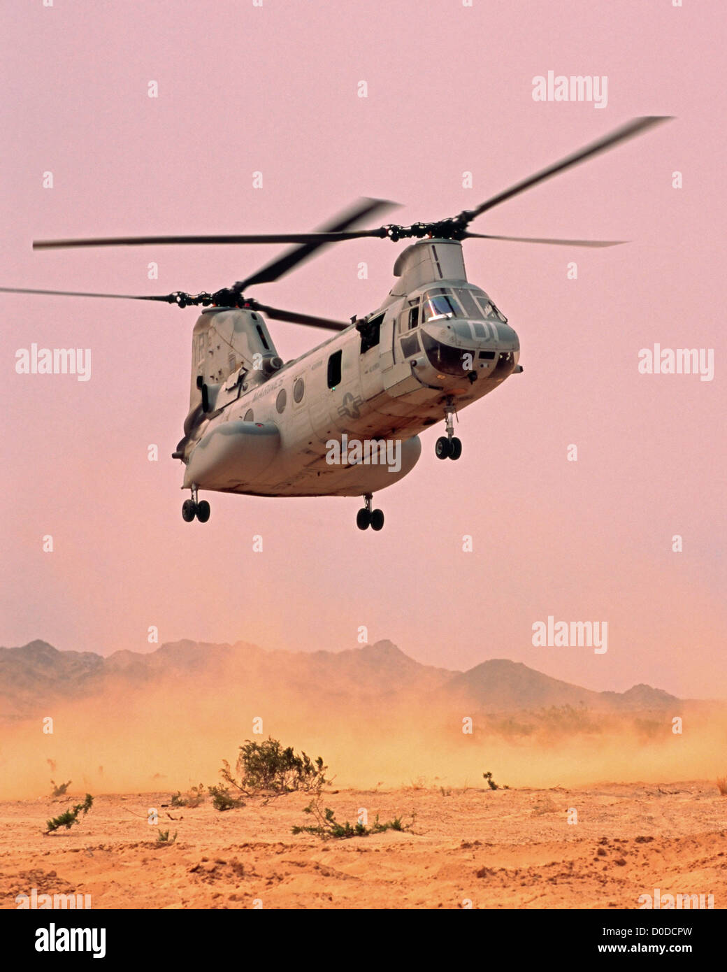 Un US Marine Corps CH-46 Sea Knight calci fino polvere sul suo approccio a un deserto elicottero zona di atterraggio Foto Stock