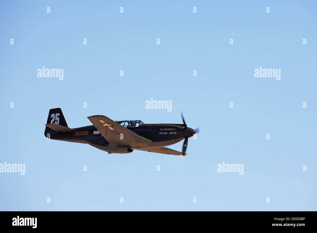 North American P Mustang Foto Stock