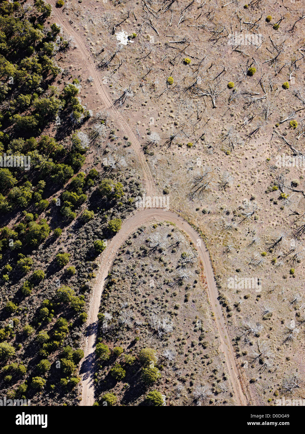 Vista aerea dell'intersezione di due strade sterrate in Colorado di montagne rocciose. Foto Stock