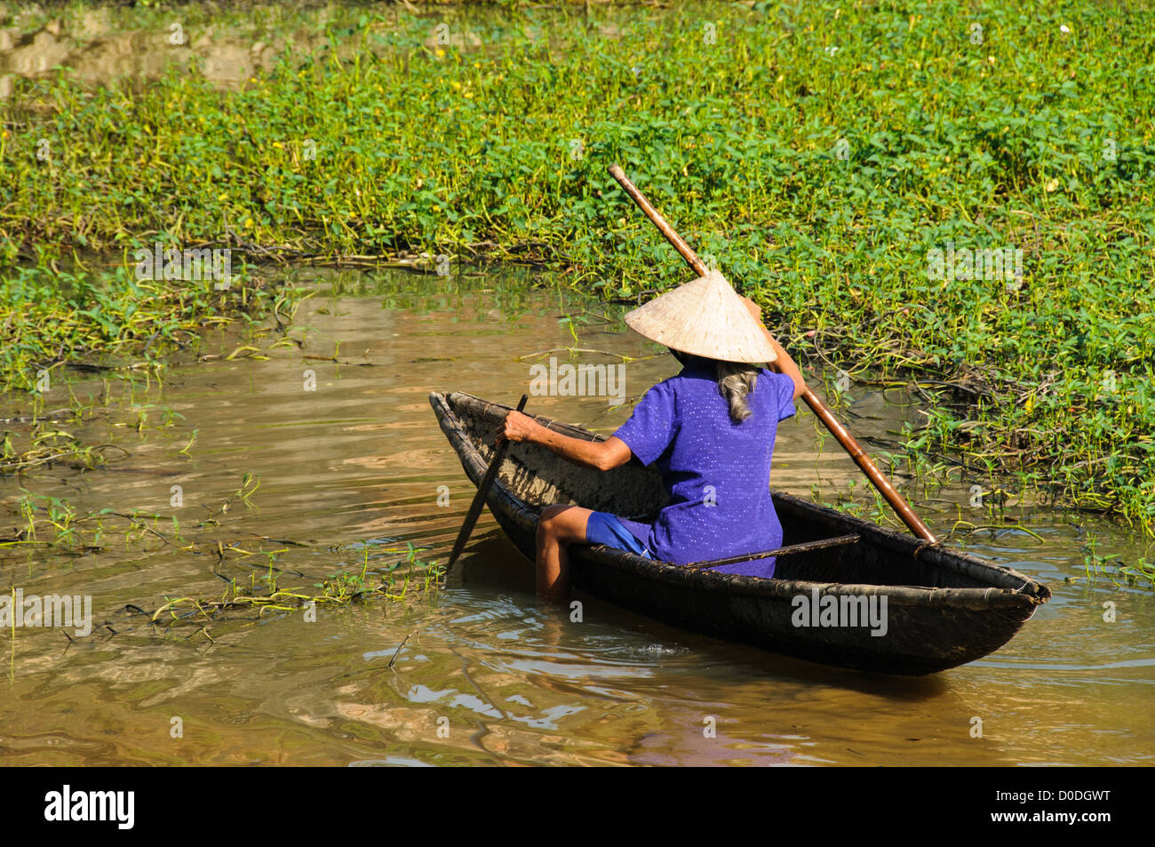 Woman in Canoe HUE Vietnam // HUE, Vietnam — Una donna in canoa di legno naviga nei fondali fangosi accanto ad alcune canne a Hue, Vietnam. Foto Stock