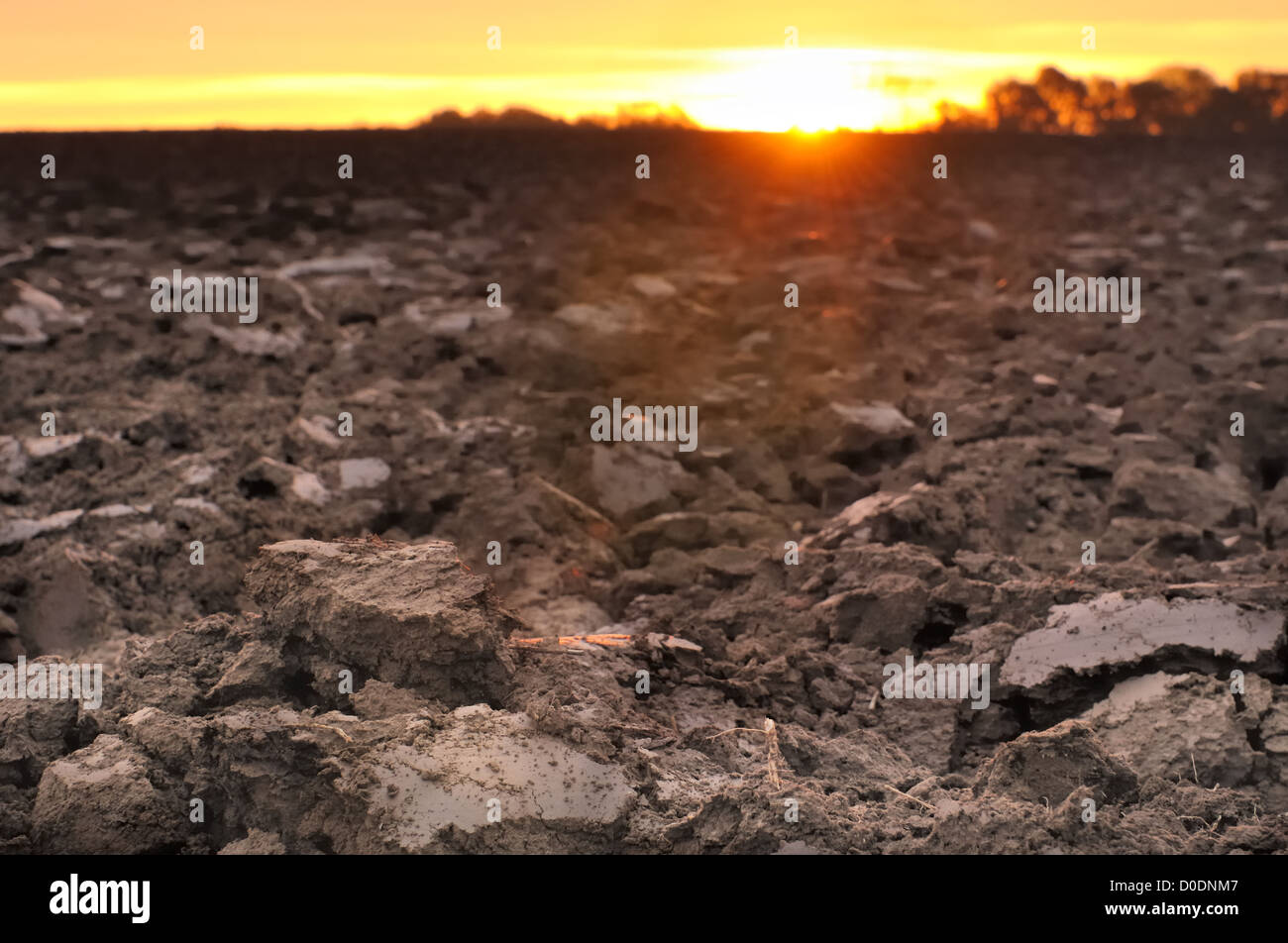 Campo di appena girato topsoil formando delle zolle di terra al crepuscolo Foto Stock