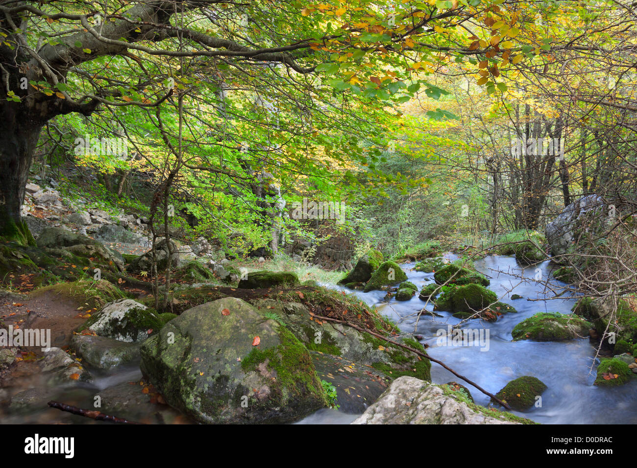 Fiume Valle motivo nel parco "Collados del motivo' (Cantabria,Spagna. Foto Stock