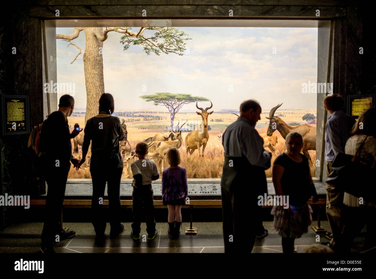 Le Pianure del Serengeti esposte presso il Museo di Storia Naturale di New York Upper West Side, adiacente al parco centrale. Foto Stock