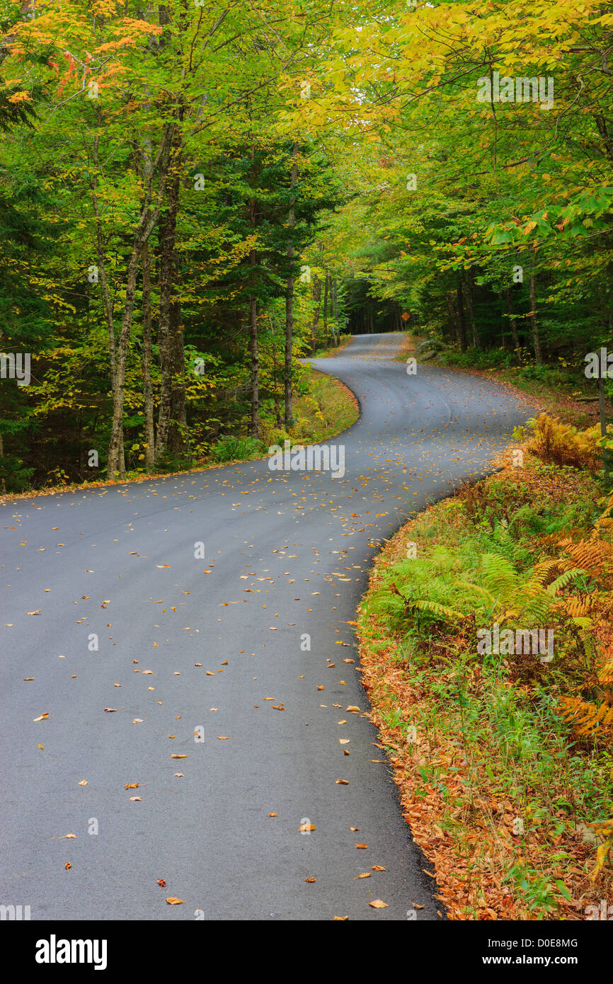 La lunga e tortuosa strada con i colori autunnali a Acadia N.P, Maine. Foto Stock