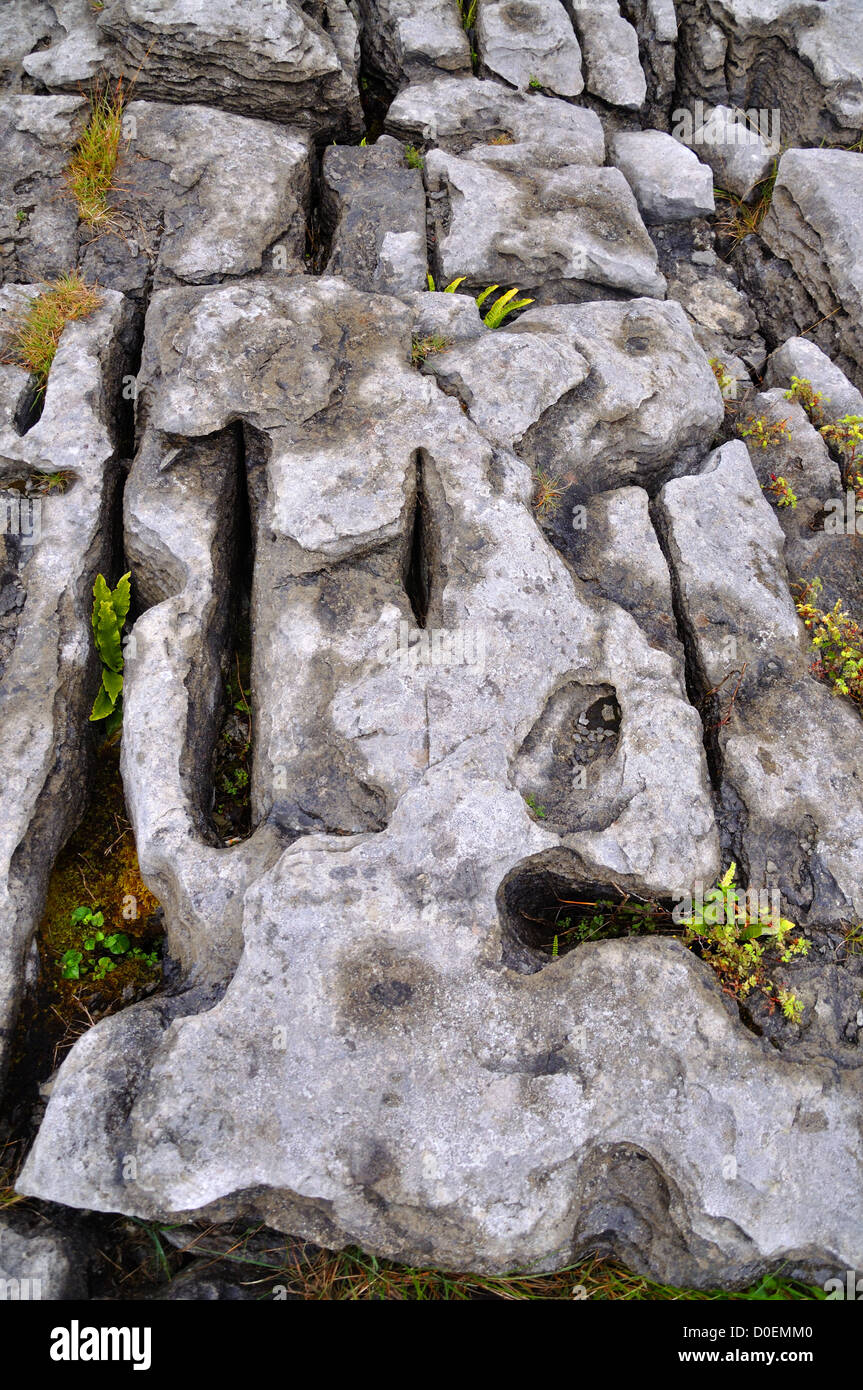 Carso formazioni rock The Burren Irlanda Foto Stock