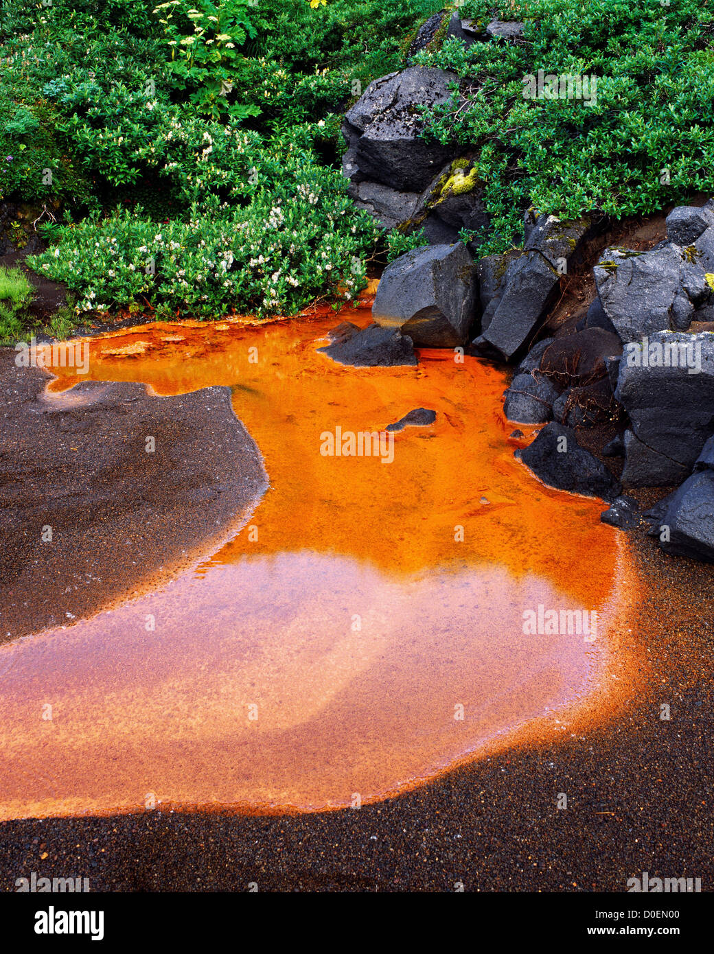 Una calda primavera percola con acqua arrugginito Foto Stock