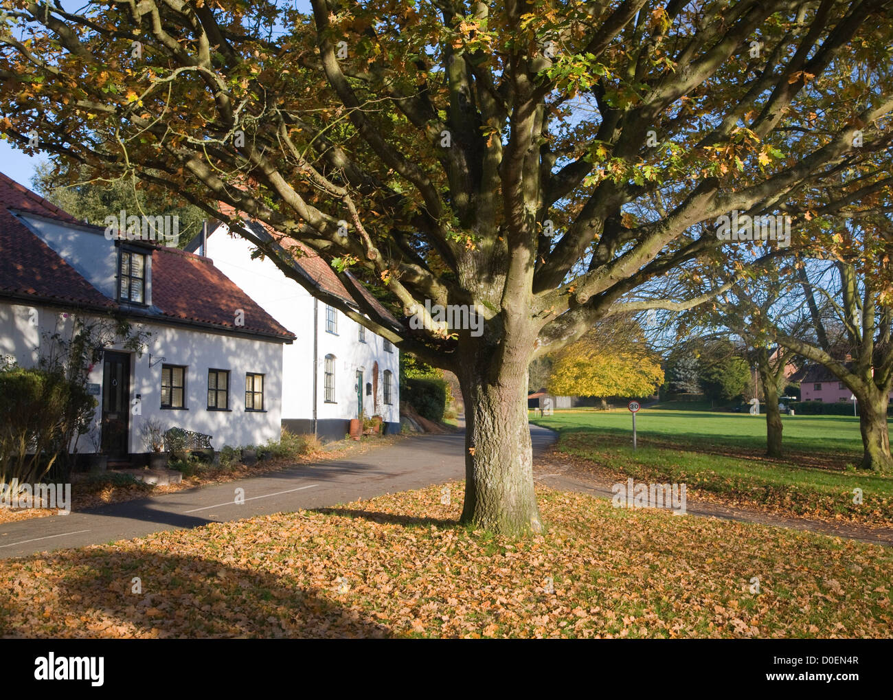 Cottage di campagna Foglie di autunno Westleton, Suffolk, Inghilterra Foto Stock