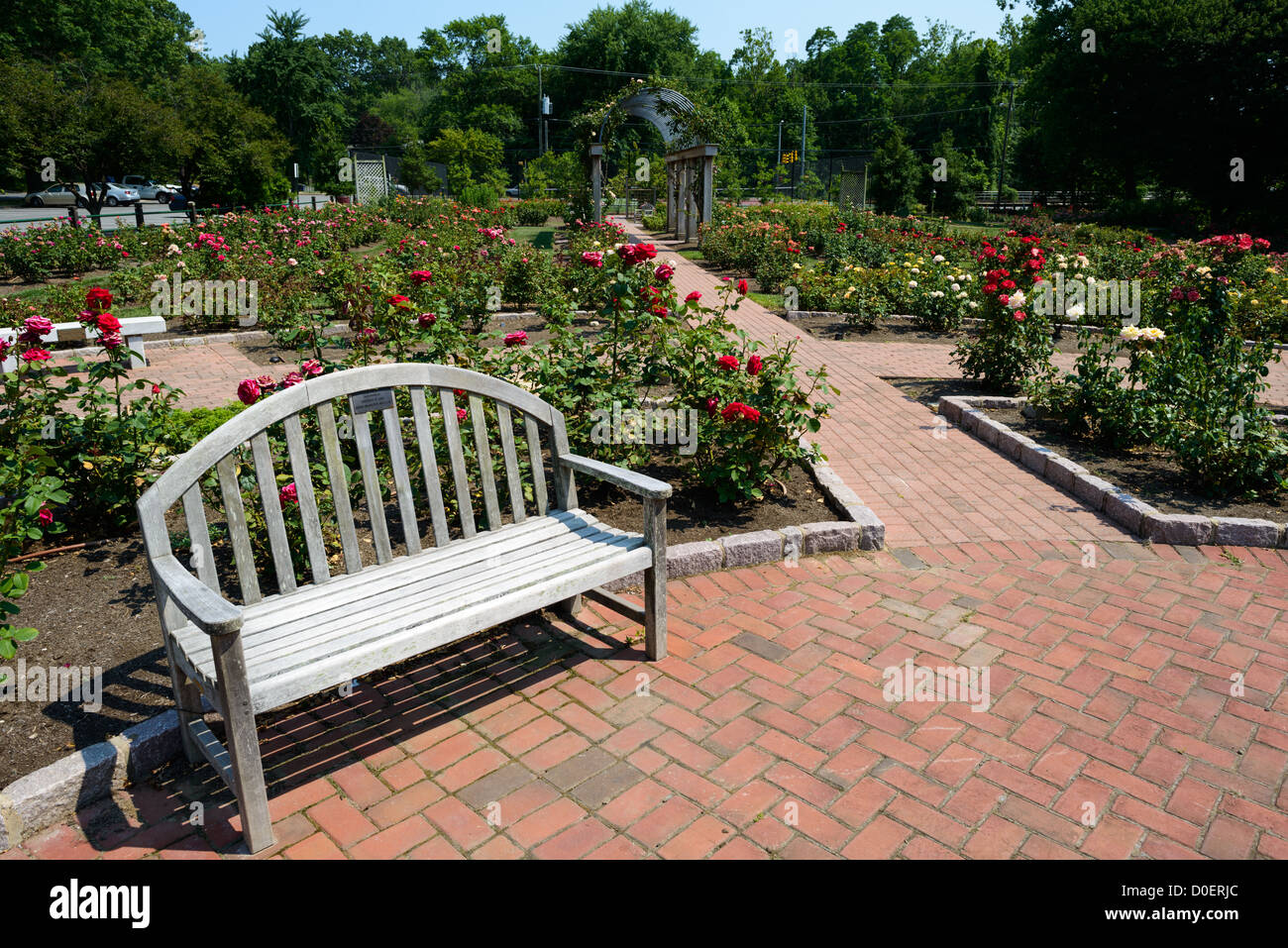 ARLINGTON, Virginia, Stati Uniti - il Bon Air Rose Garden espone una collezione diversificata di rose in un parco pubblico paesaggistico. Il giardino presenta sentieri pavimentati che consentono ai visitatori di vedere i vari esemplari di rose e le esposizioni. Situato nella contea di Arlington, questo giardino pubblico funge sia da vetrina orticola che da spazio per riunioni comunali. Foto Stock