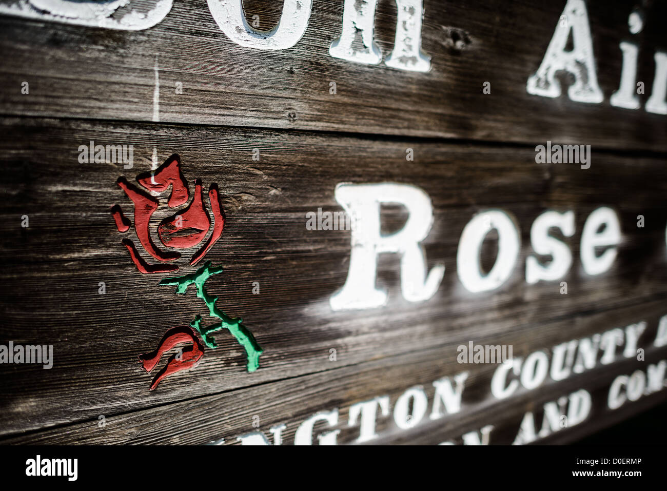 ARLINGTON, Virginia, Stati Uniti - il Bon Air Rose Garden espone una collezione diversificata di rose in un parco pubblico paesaggistico. Il giardino presenta sentieri pavimentati che consentono ai visitatori di vedere i vari esemplari di rose e le esposizioni. Situato nella contea di Arlington, questo giardino pubblico funge sia da vetrina orticola che da spazio per riunioni comunali. Foto Stock