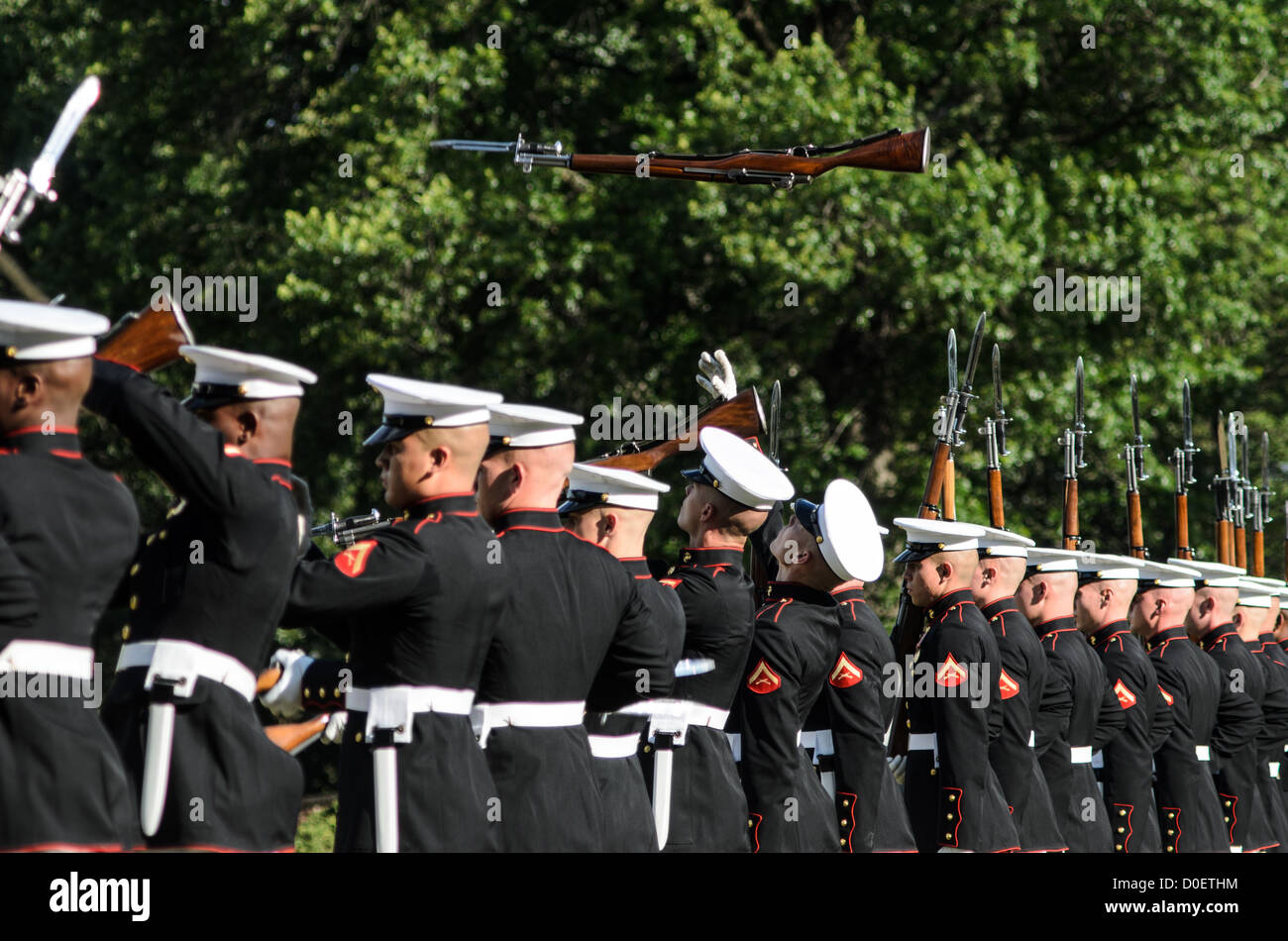 ARLINGTON, Virginia, Stati Uniti - il Marine Corps Silent Drill Platoon si esibisce durante la Sunset Parade al Marine Corps War Memorial, noto anche come Iwo Jima Memorial, ad Arlington, Virginia. La Sunset Parade, caratterizzata da movimenti di precisione e musica, si svolge il martedì sera durante i mesi estivi. L'iconico memoriale, raffigurante la bandiera che innalza su Iwo Jima, funge da sfondo drammatico per questa antica tradizione militare. Foto Stock