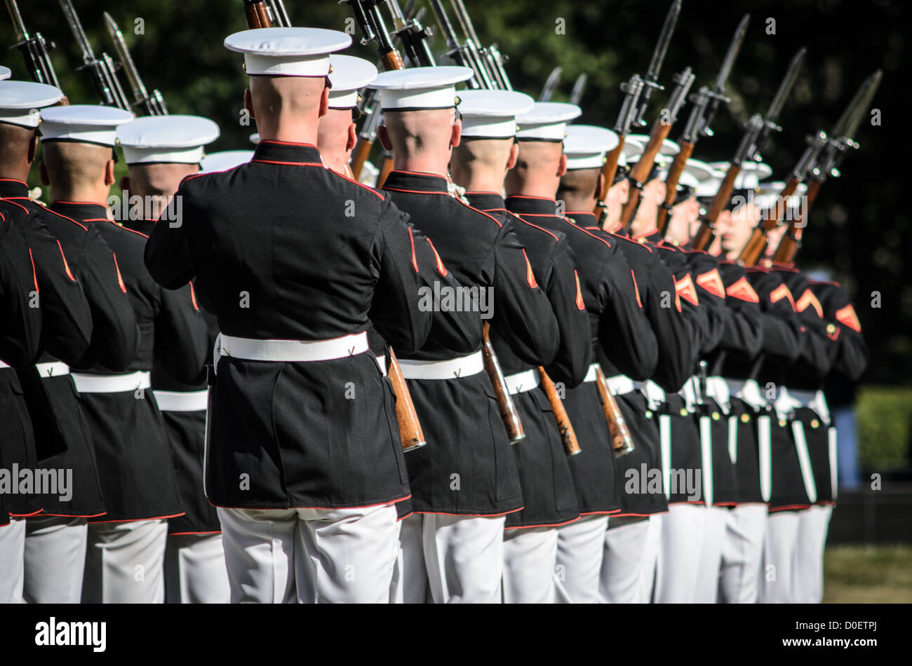 ARLINGTON, Virginia, Stati Uniti - il Marine Corps Silent Drill Platoon si esibisce durante la Sunset Parade al Marine Corps War Memorial, noto anche come Iwo Jima Memorial, ad Arlington, Virginia. La Sunset Parade, caratterizzata da movimenti di precisione e musica, si svolge il martedì sera durante i mesi estivi. L'iconico memoriale, raffigurante la bandiera che innalza su Iwo Jima, funge da sfondo drammatico per questa antica tradizione militare. Foto Stock